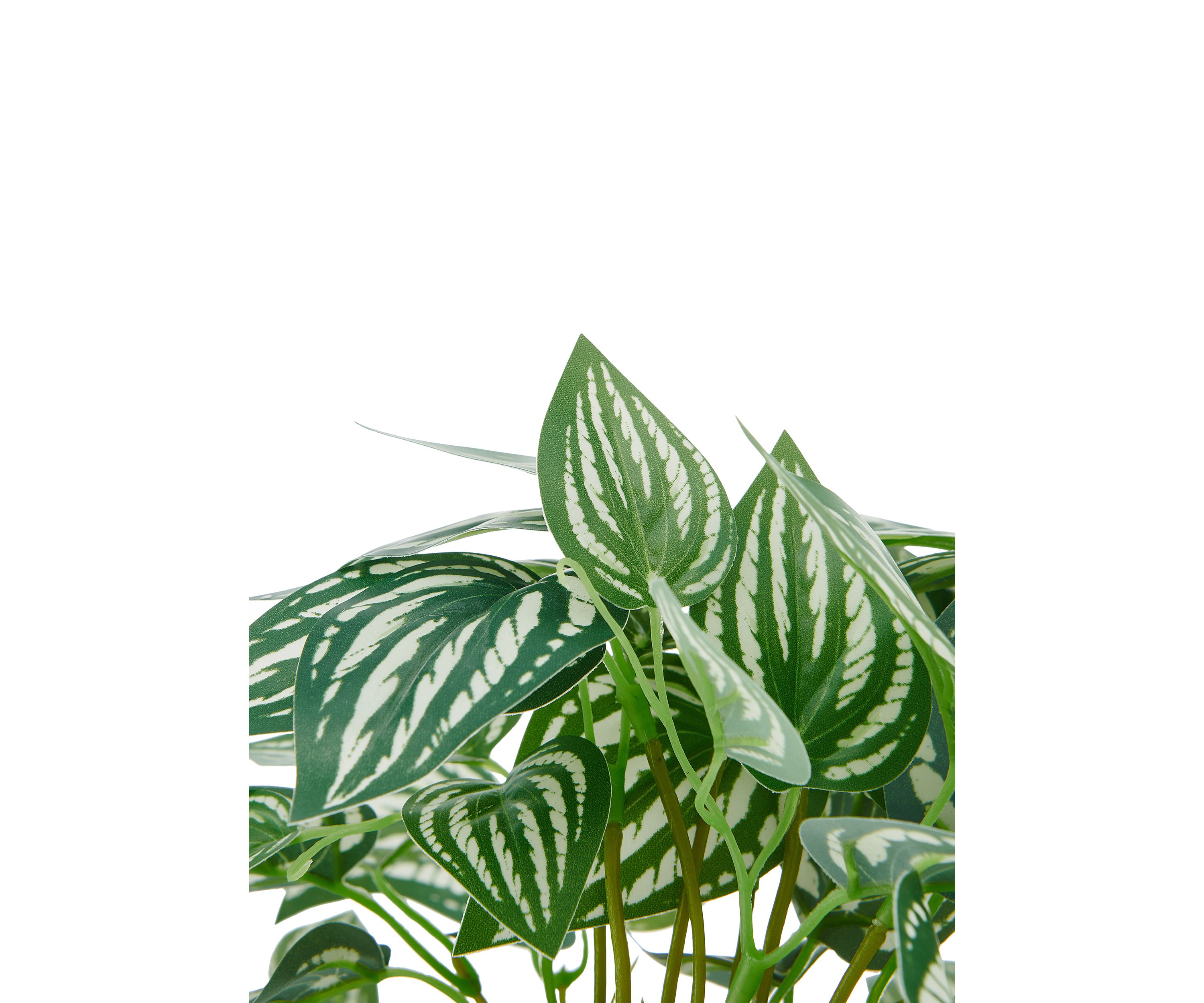 Striped Pothos Artificial Greenery in Ceramic Pot