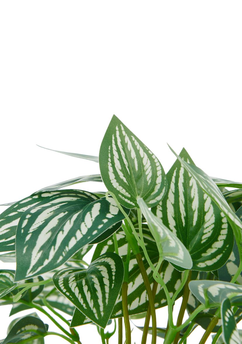 Striped Pothos Artificial Greenery in Ceramic Pot