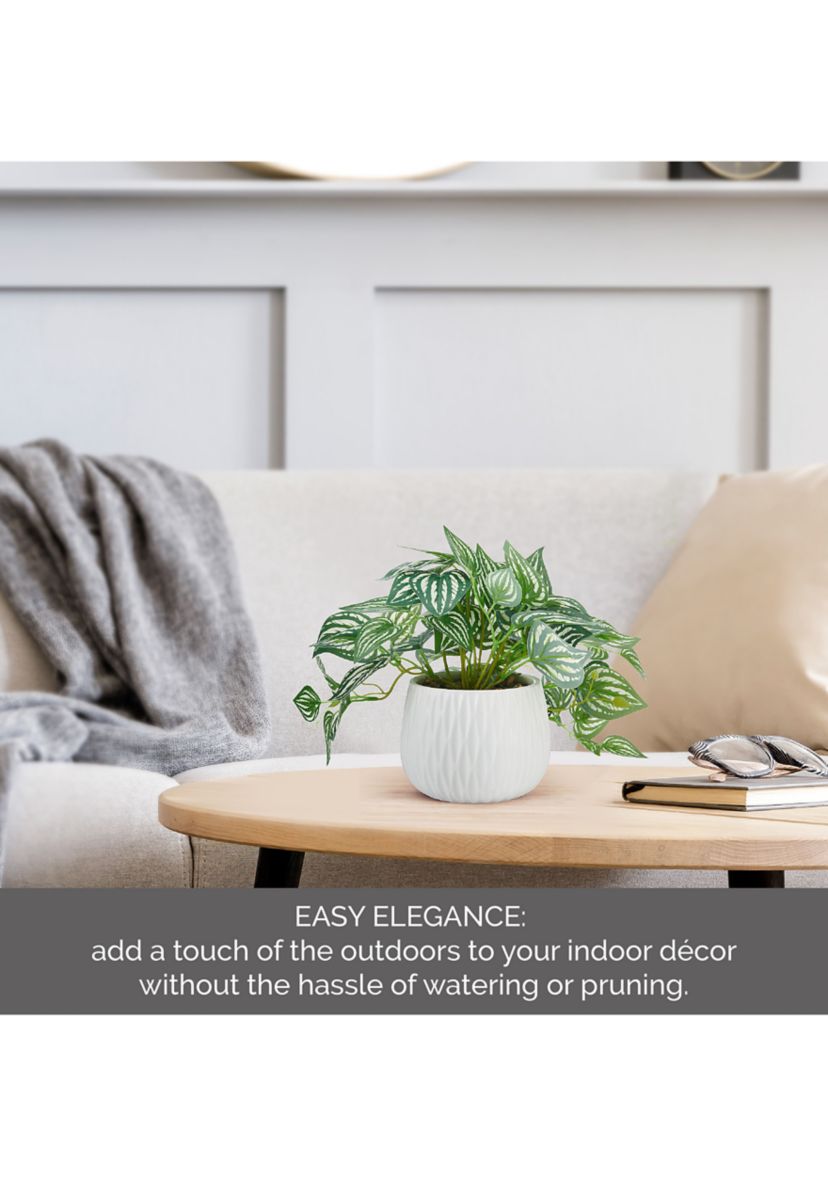 Striped Pothos Artificial Greenery in Ceramic Pot