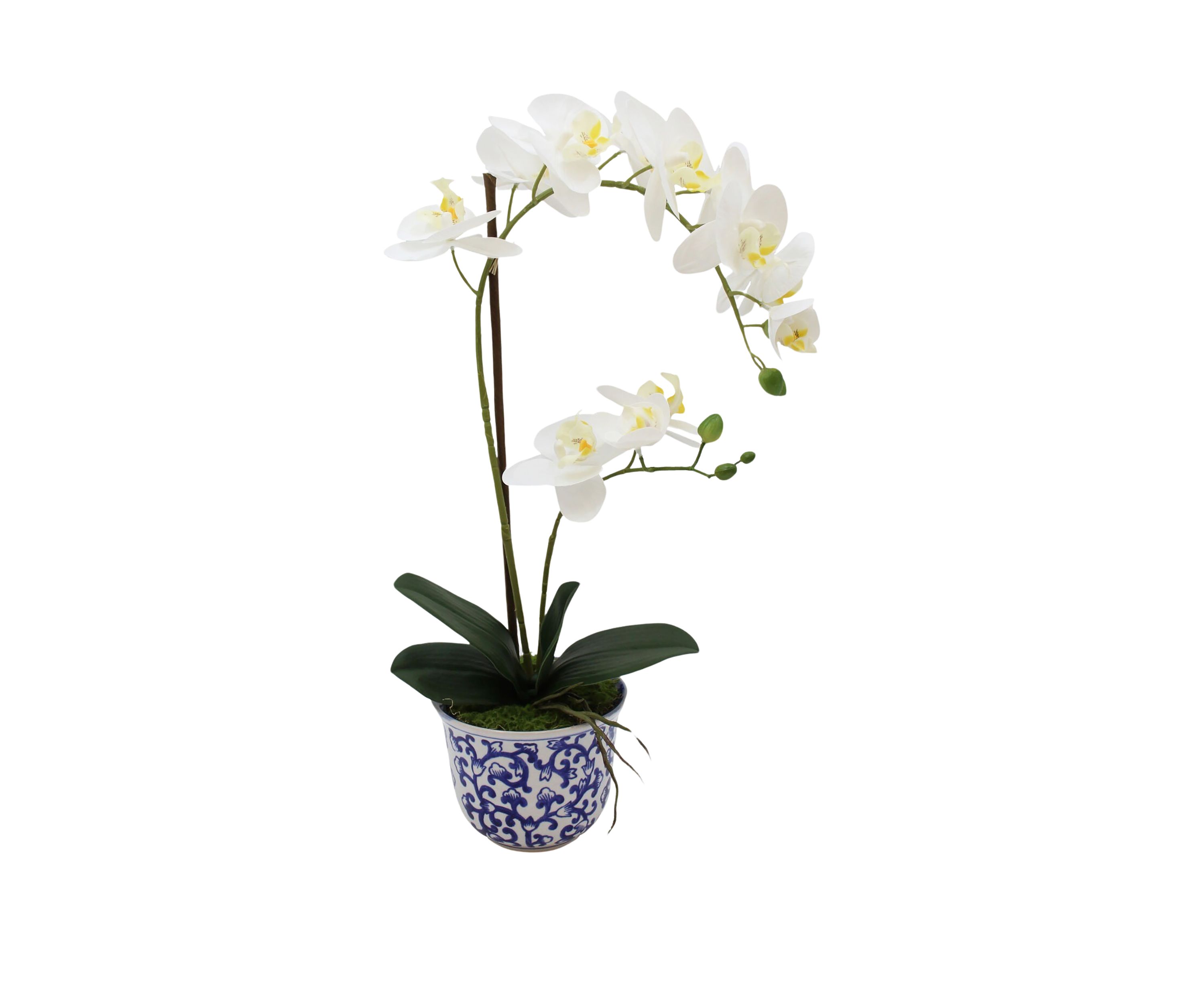 White Orchid in Blue & White Pot Faux Greenery