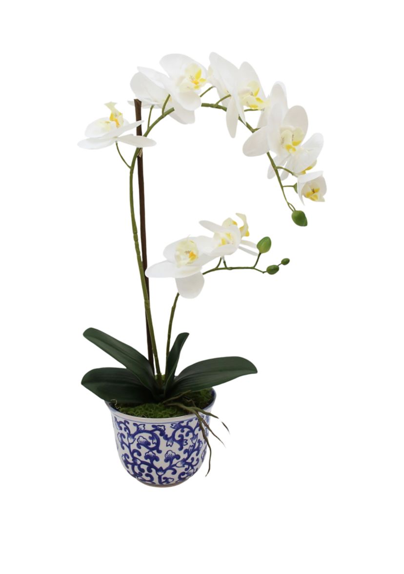 White Orchid in Blue & White Pot Faux Greenery