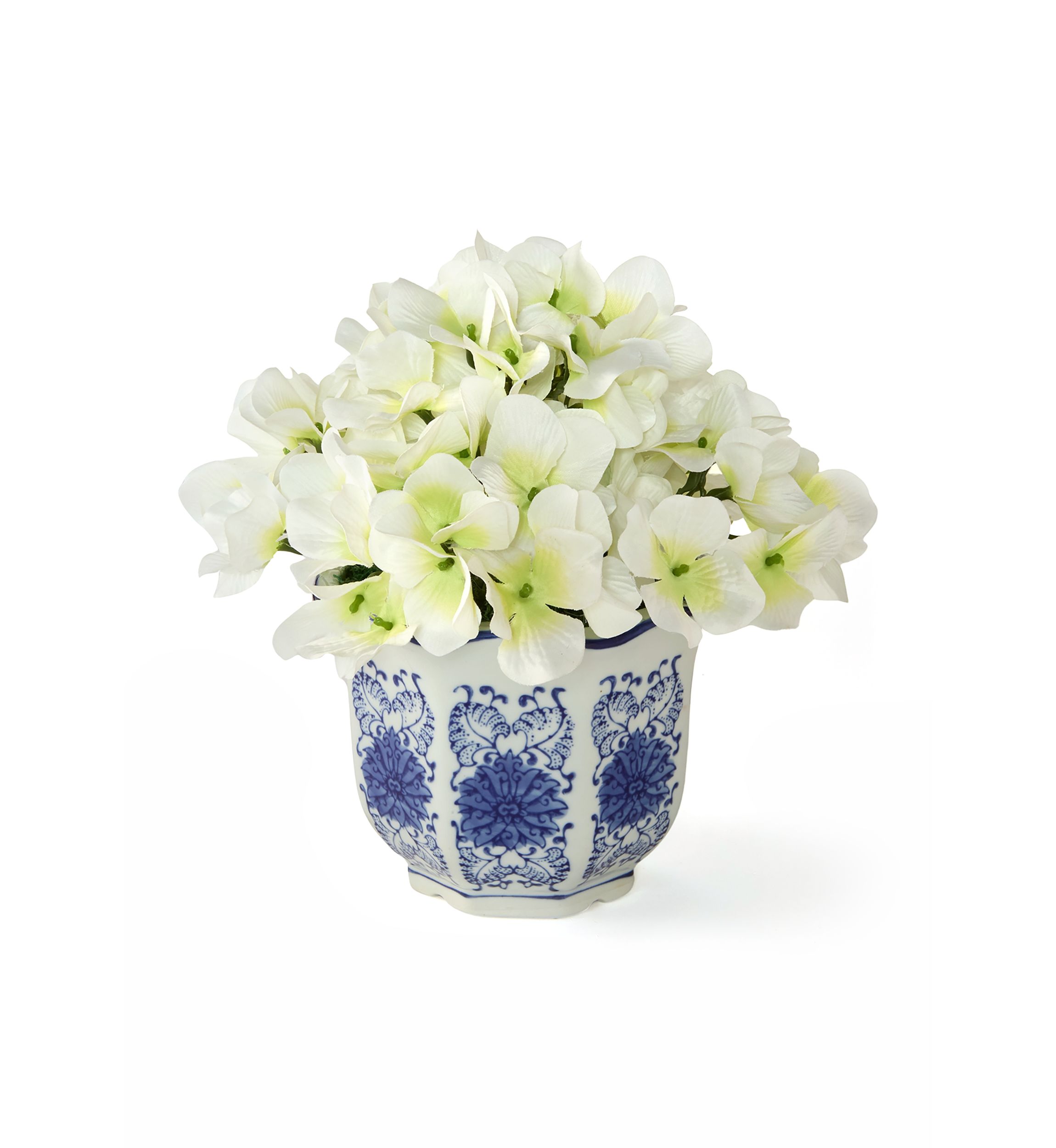Hydrangea in Ceramic Pot