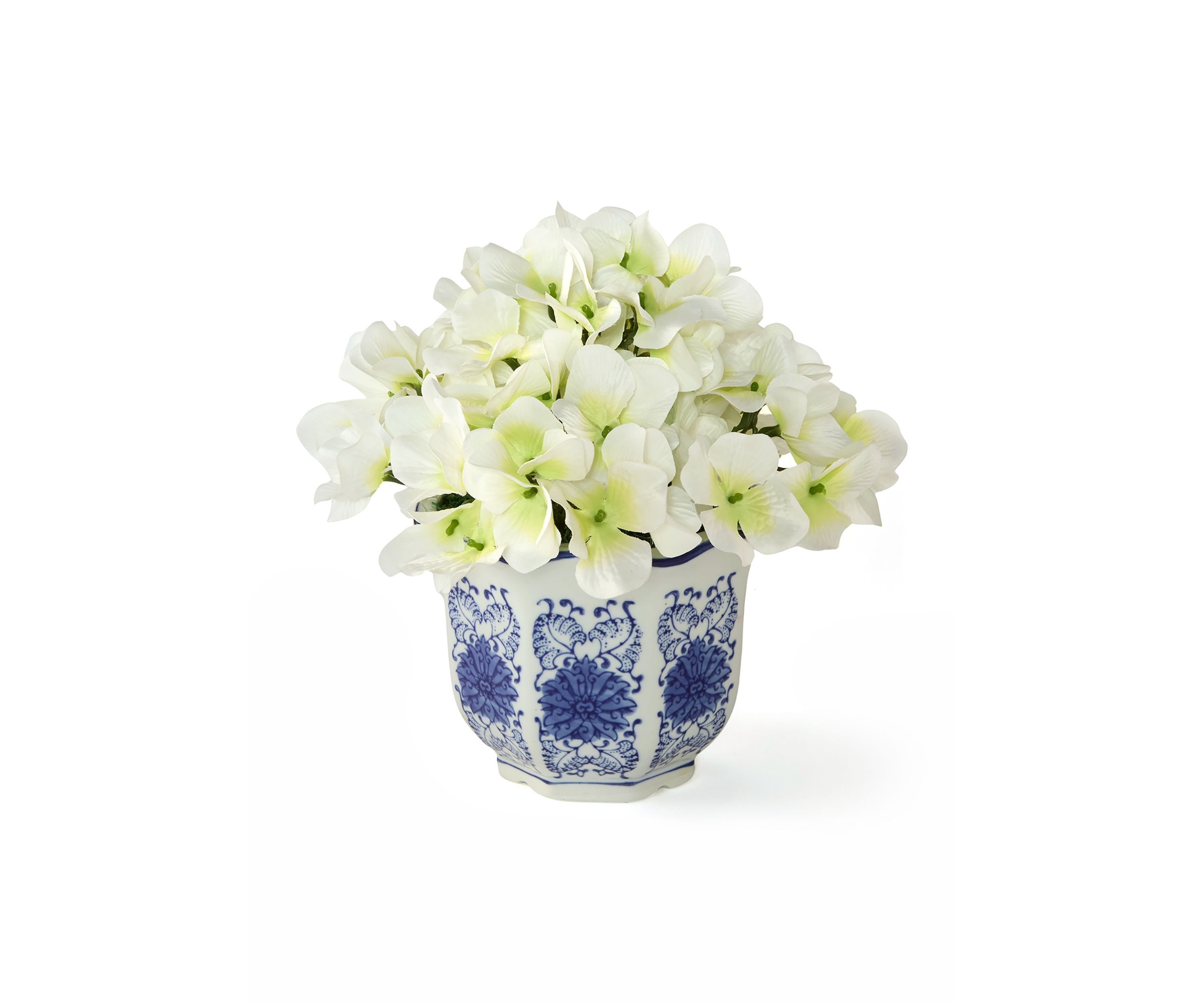 Hydrangea in Ceramic Pot