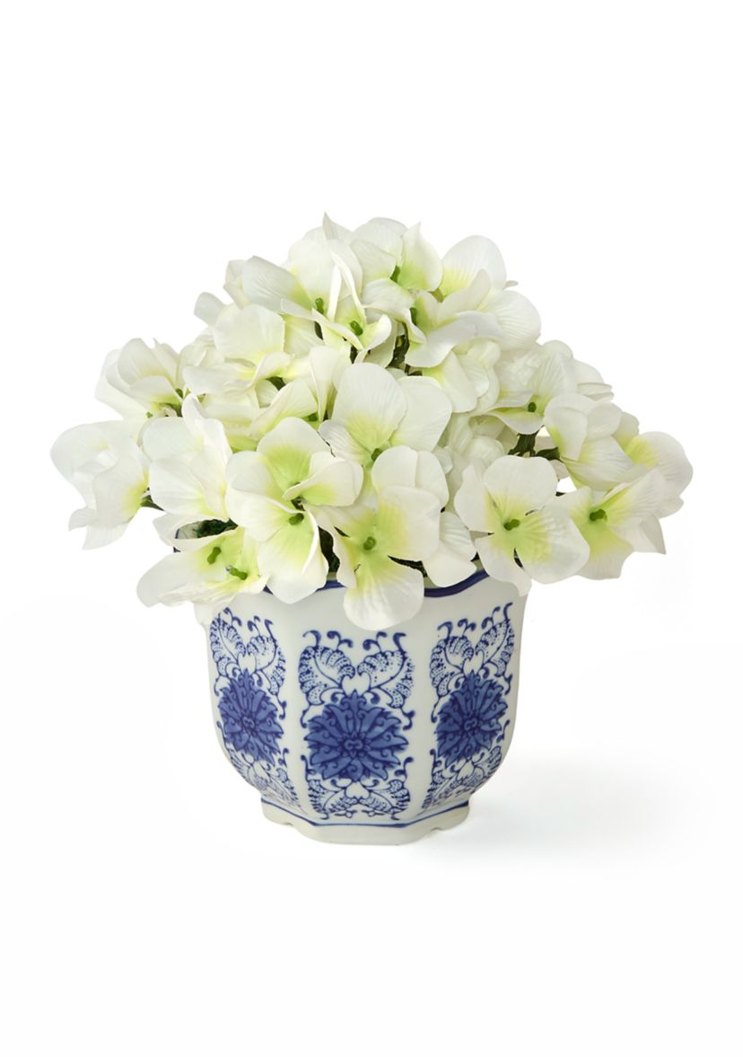 Hydrangea in Ceramic Pot