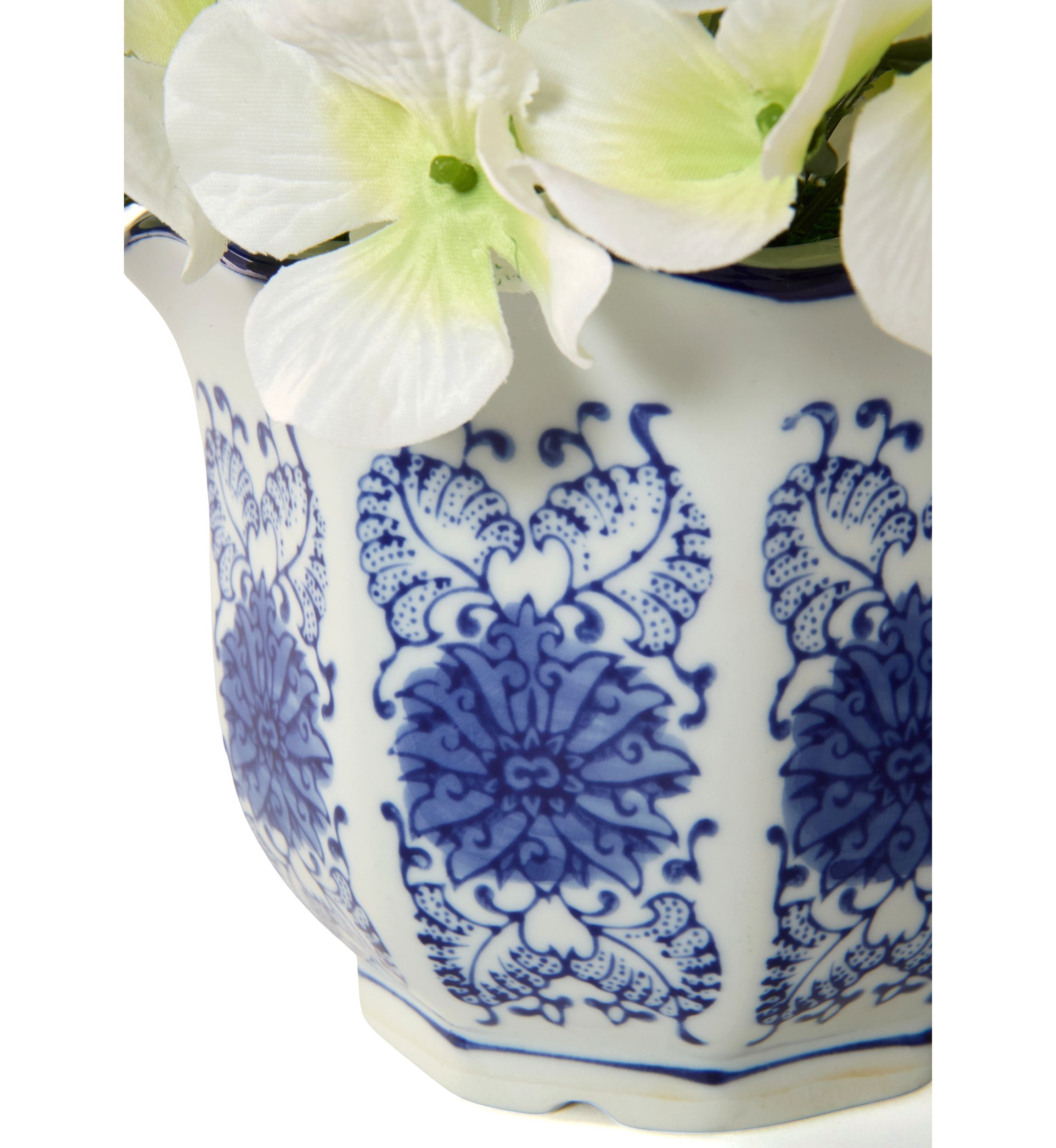 Hydrangea in Ceramic Pot
