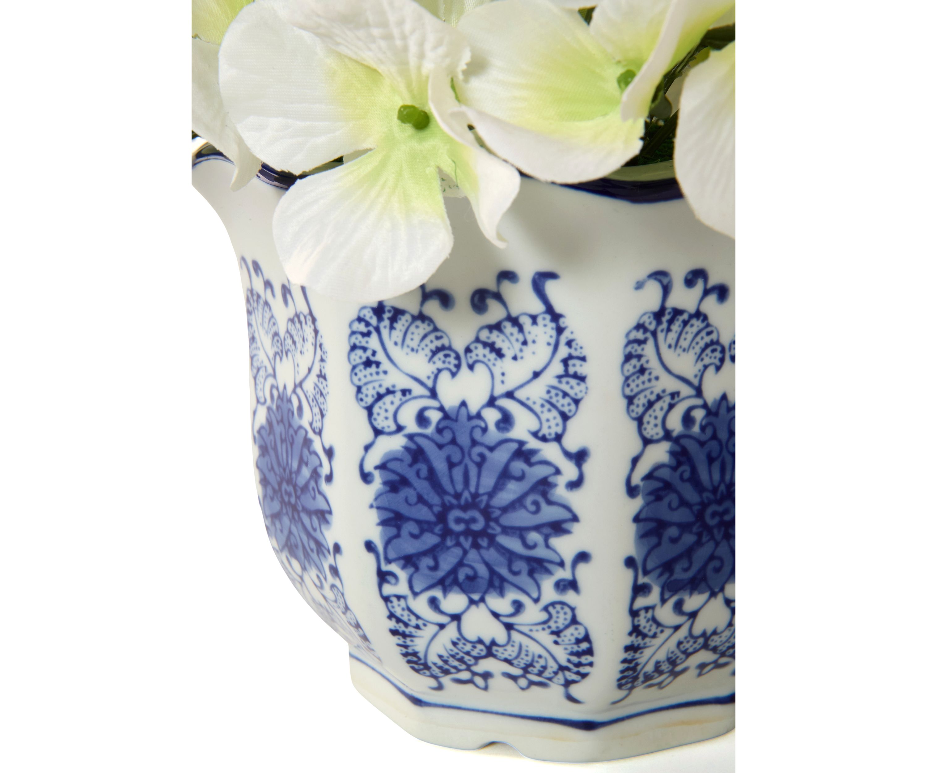 Hydrangea in Ceramic Pot