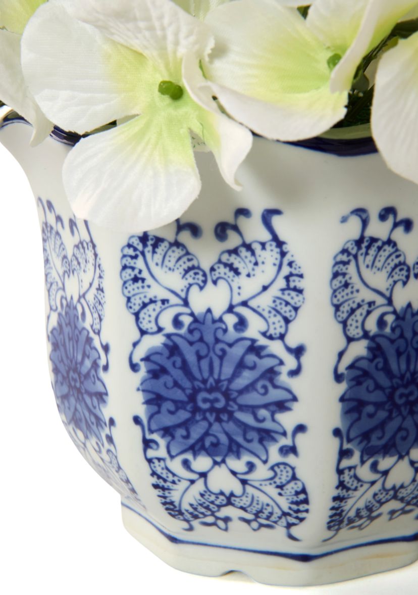 Hydrangea in Ceramic Pot