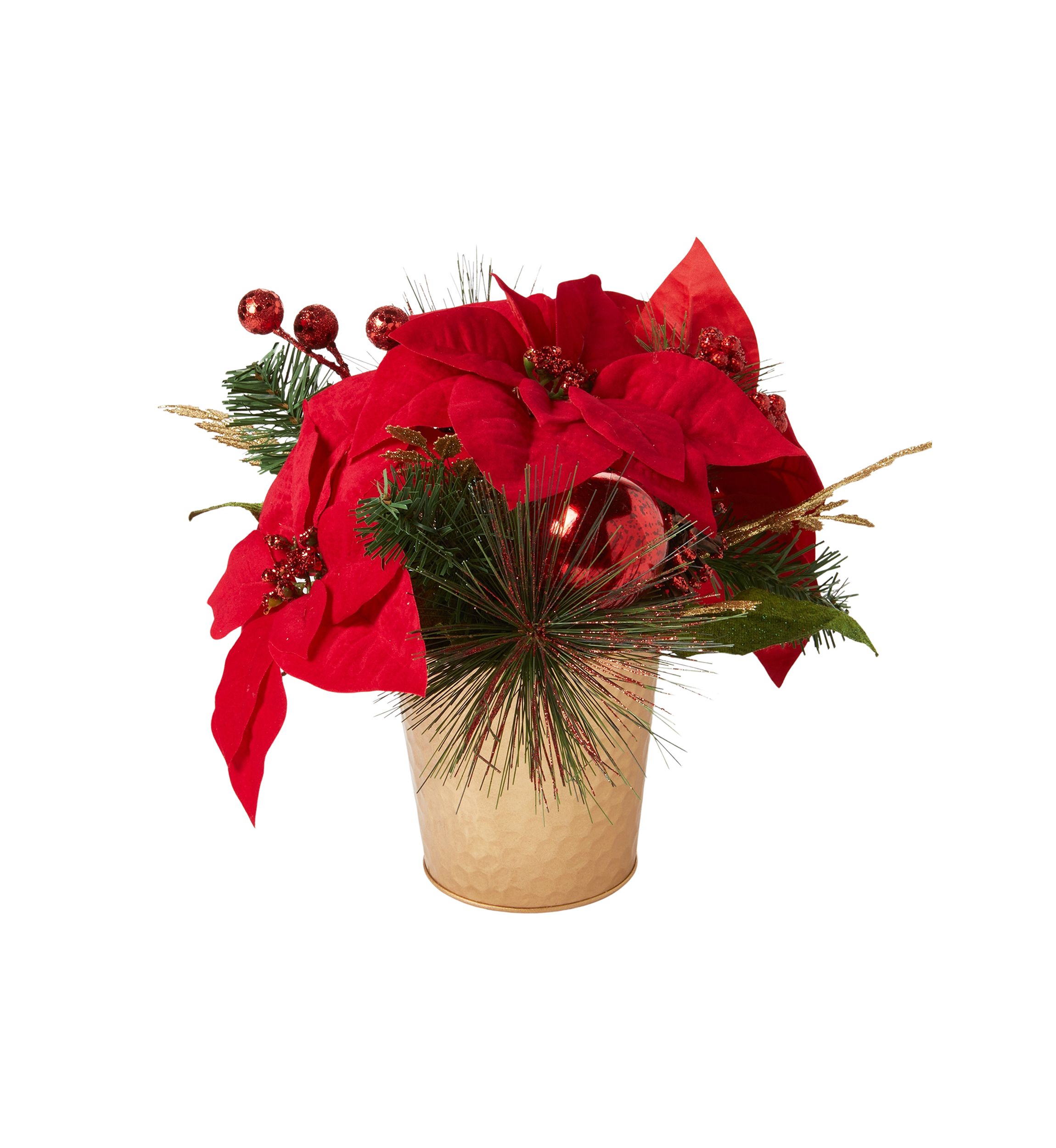 Poinsettia Sitabout