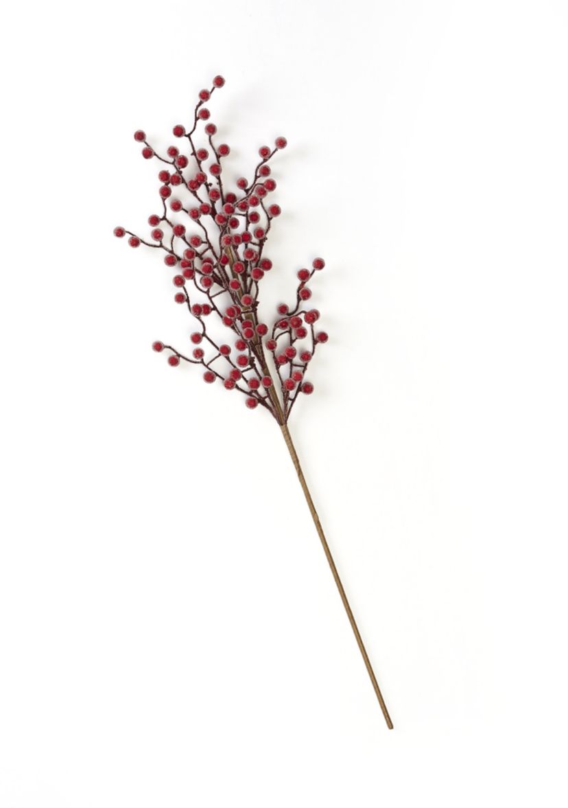 Bordeaux Berry Pick