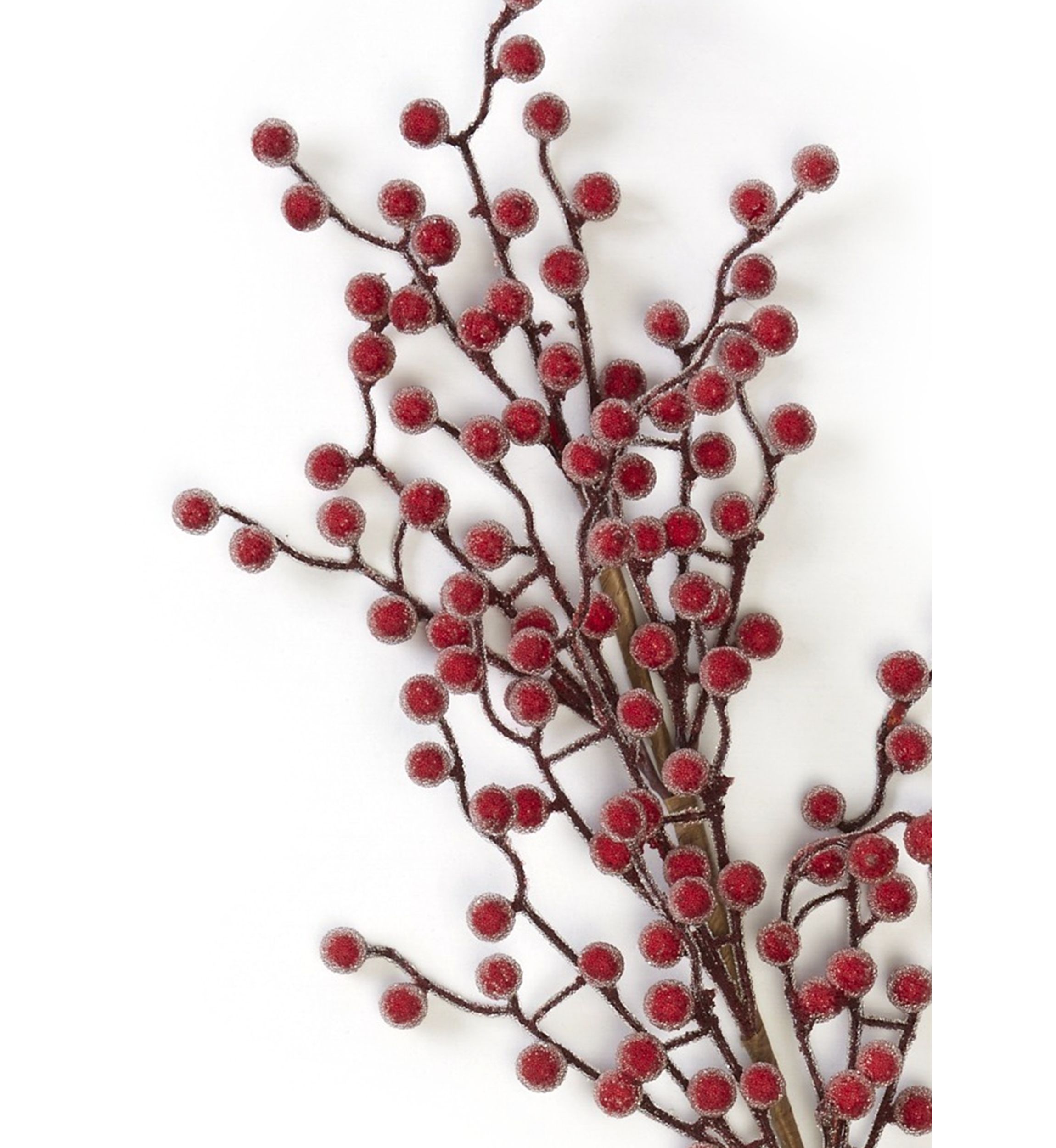 Bordeaux Berry Pick