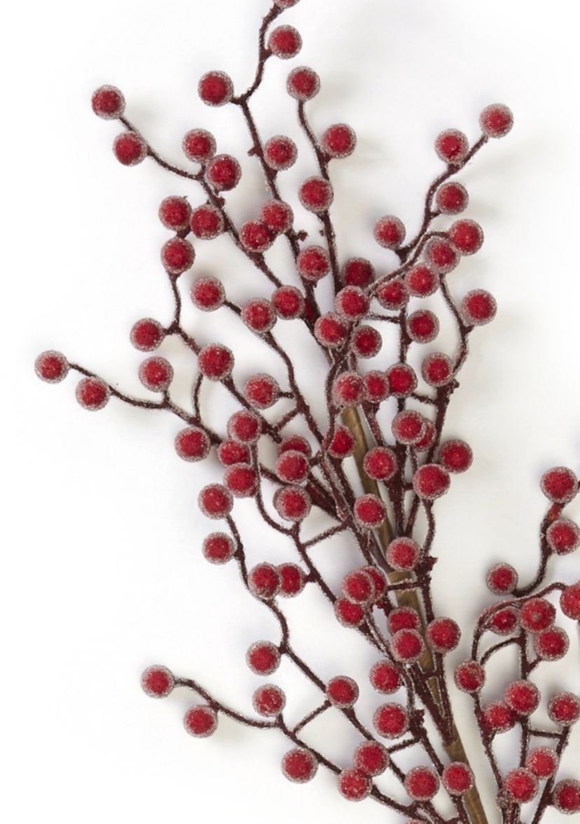 Bordeaux Berry Pick