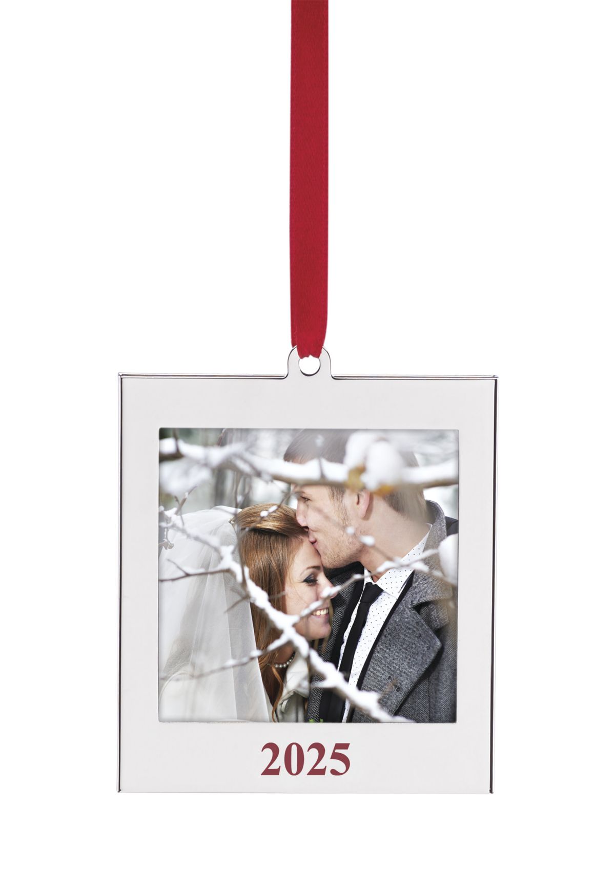 2025 Metal Frame Ornament 