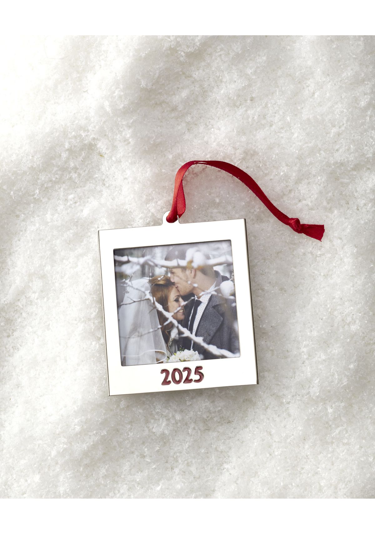 2025 Metal Frame Ornament 