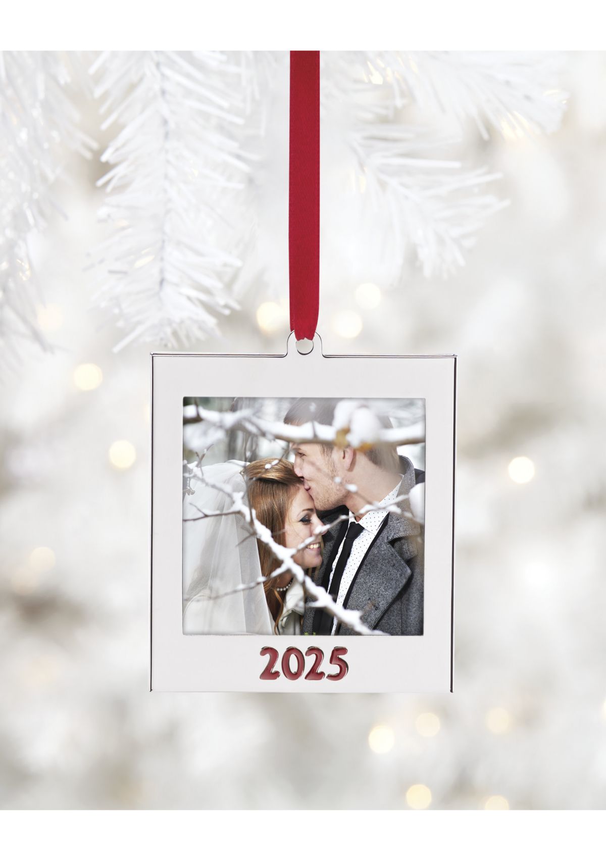 2025 Metal Frame Ornament 