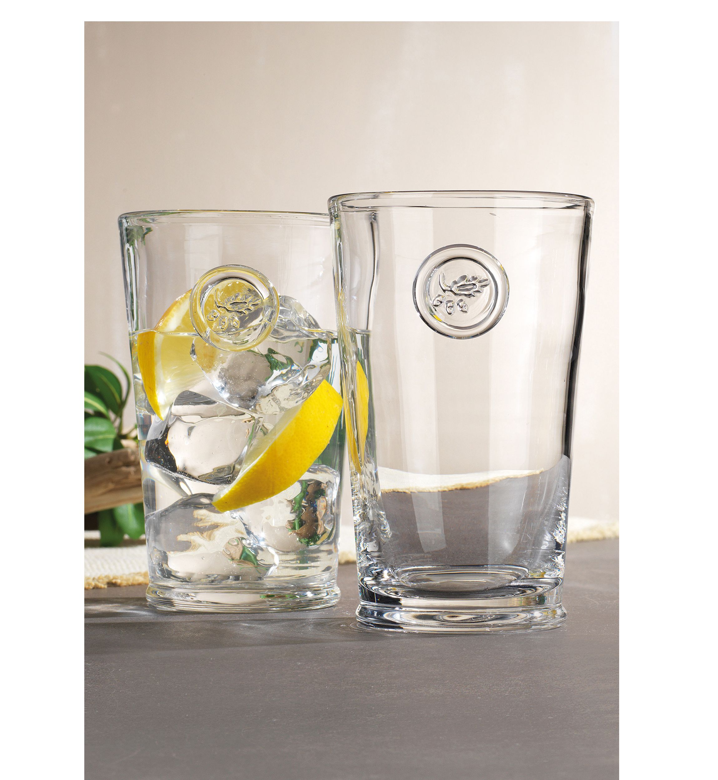 Set of 4 Highball Glasses with Acorn Logo