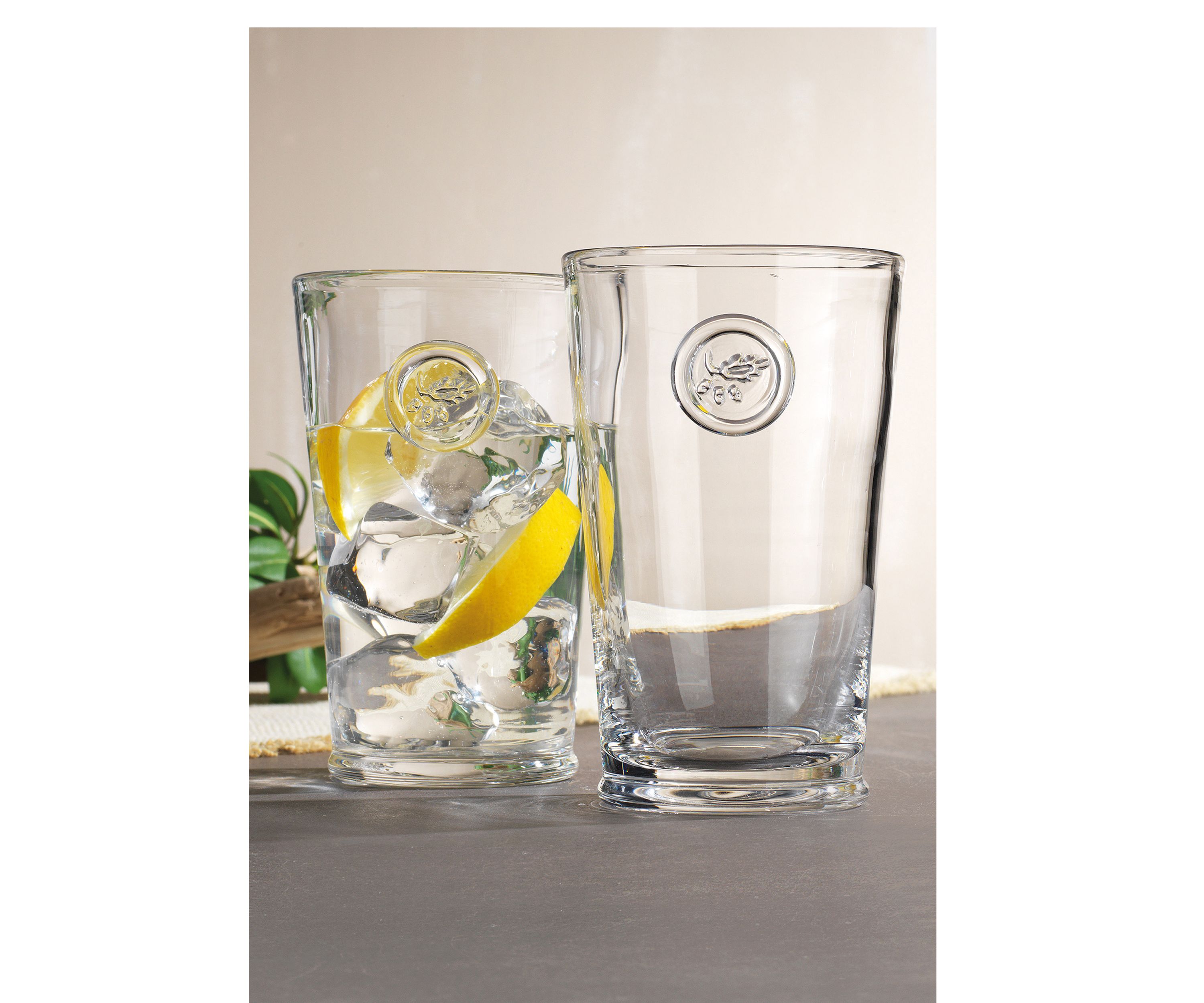 Set of 4 Highball Glasses with Acorn Logo