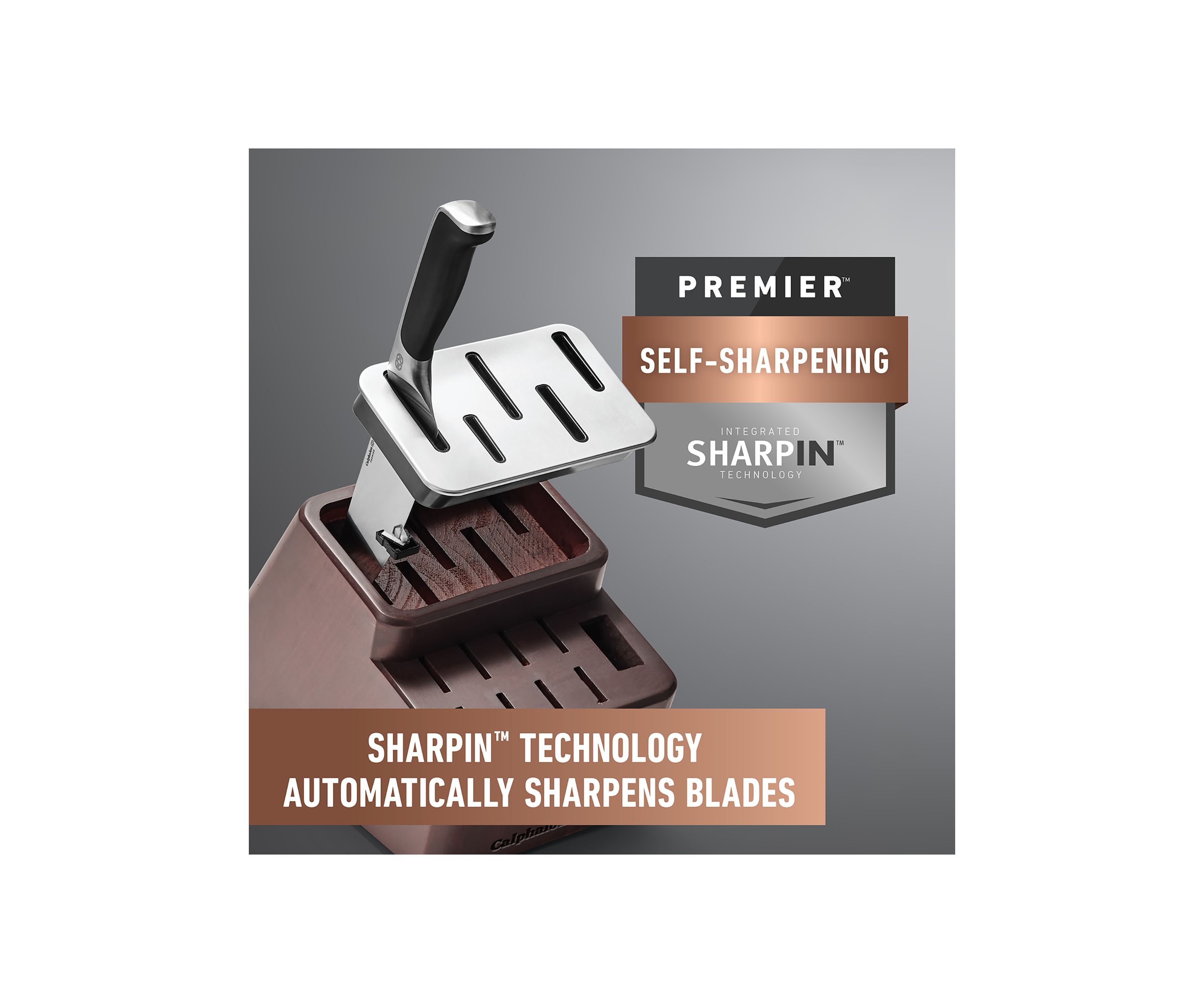 Premier SharpIN Knife Set with Sharpening Knife Block
