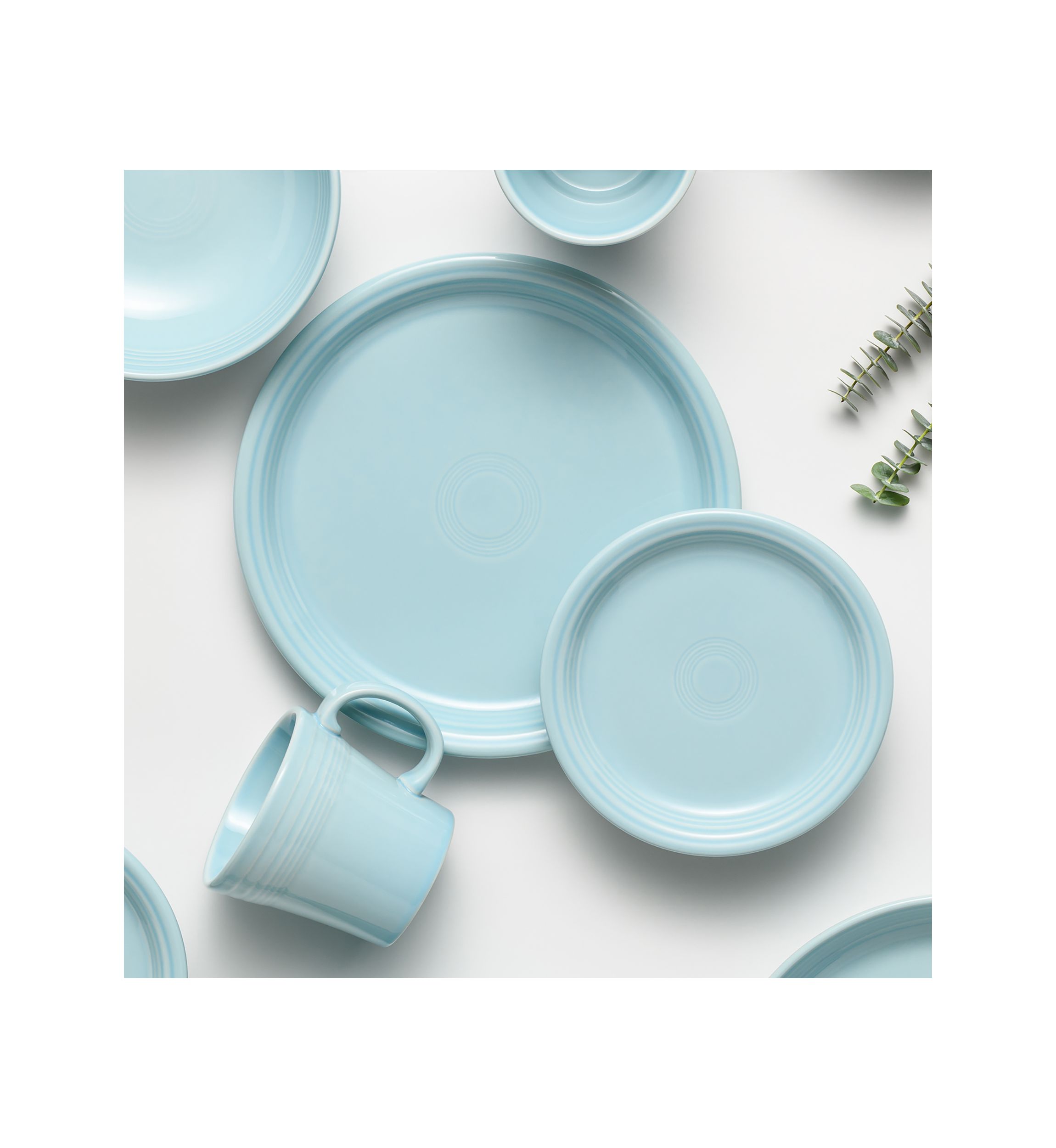 10.5 Inch Dinner Plate