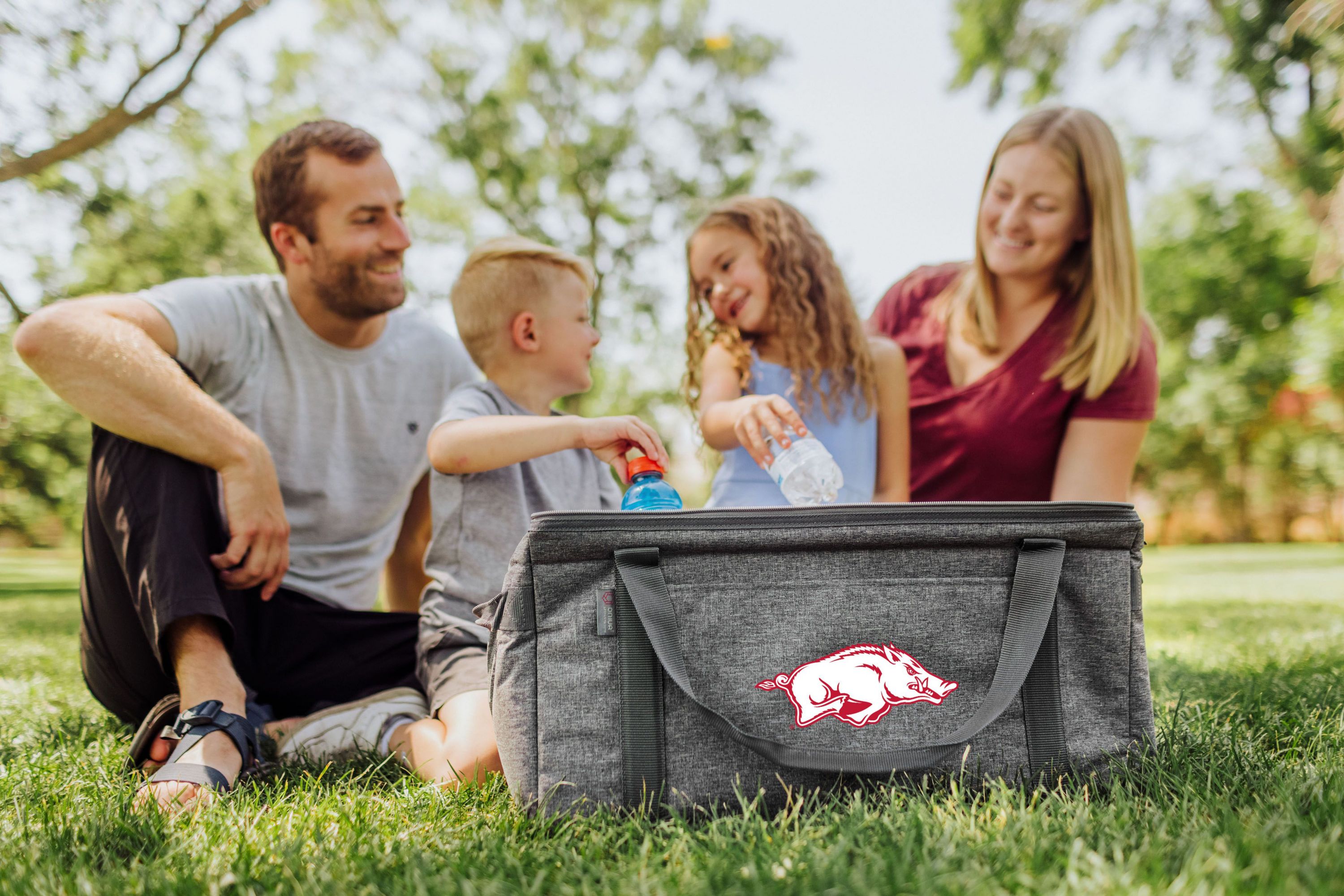NCAA Arkansas Razorbacks 64 Can Collapsible Cooler