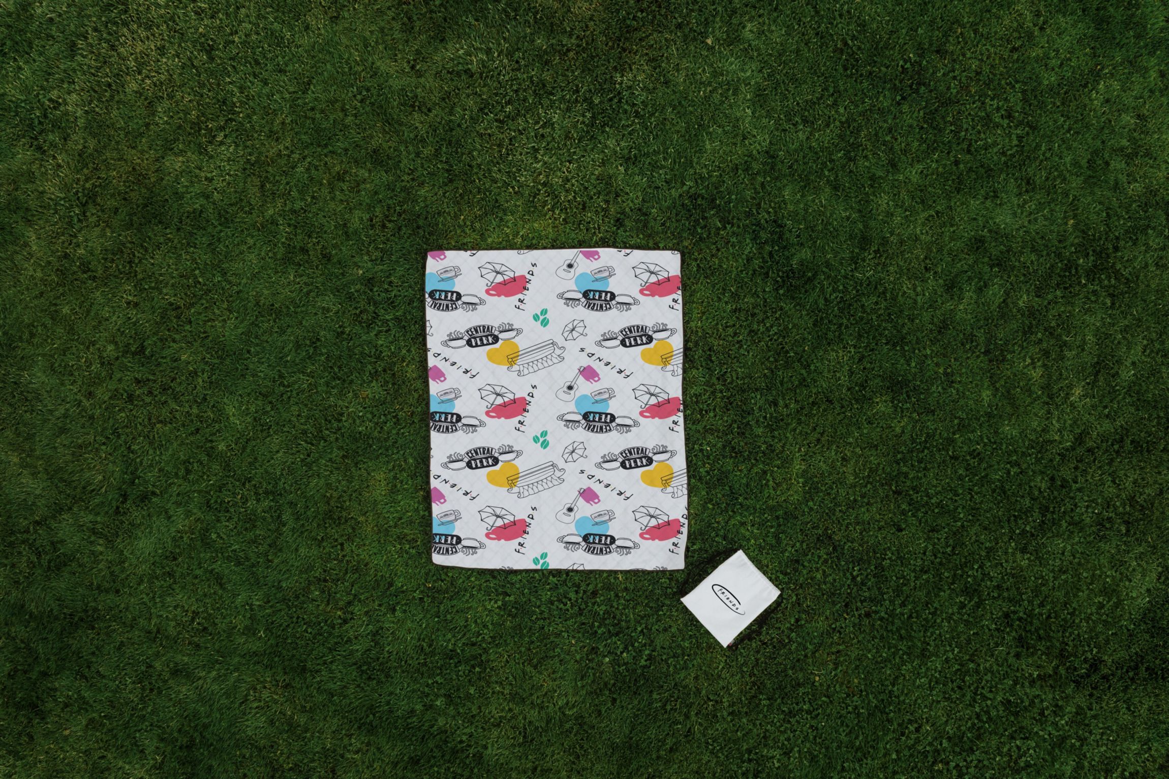 Warner Bros Friends Impresa Picnic Blanket