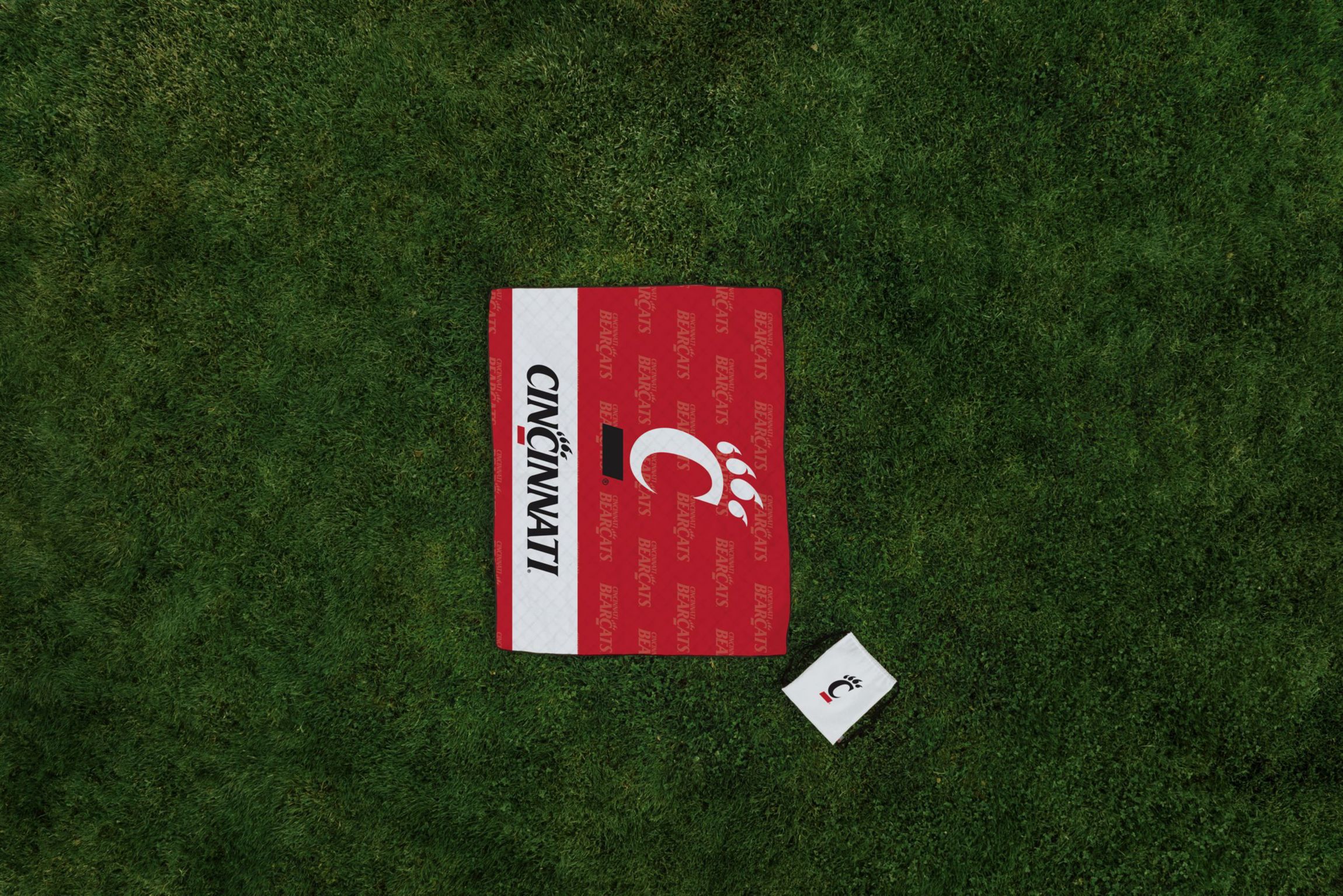 NCAA Cincinnati Bearcats Impresa Picnic Blanket