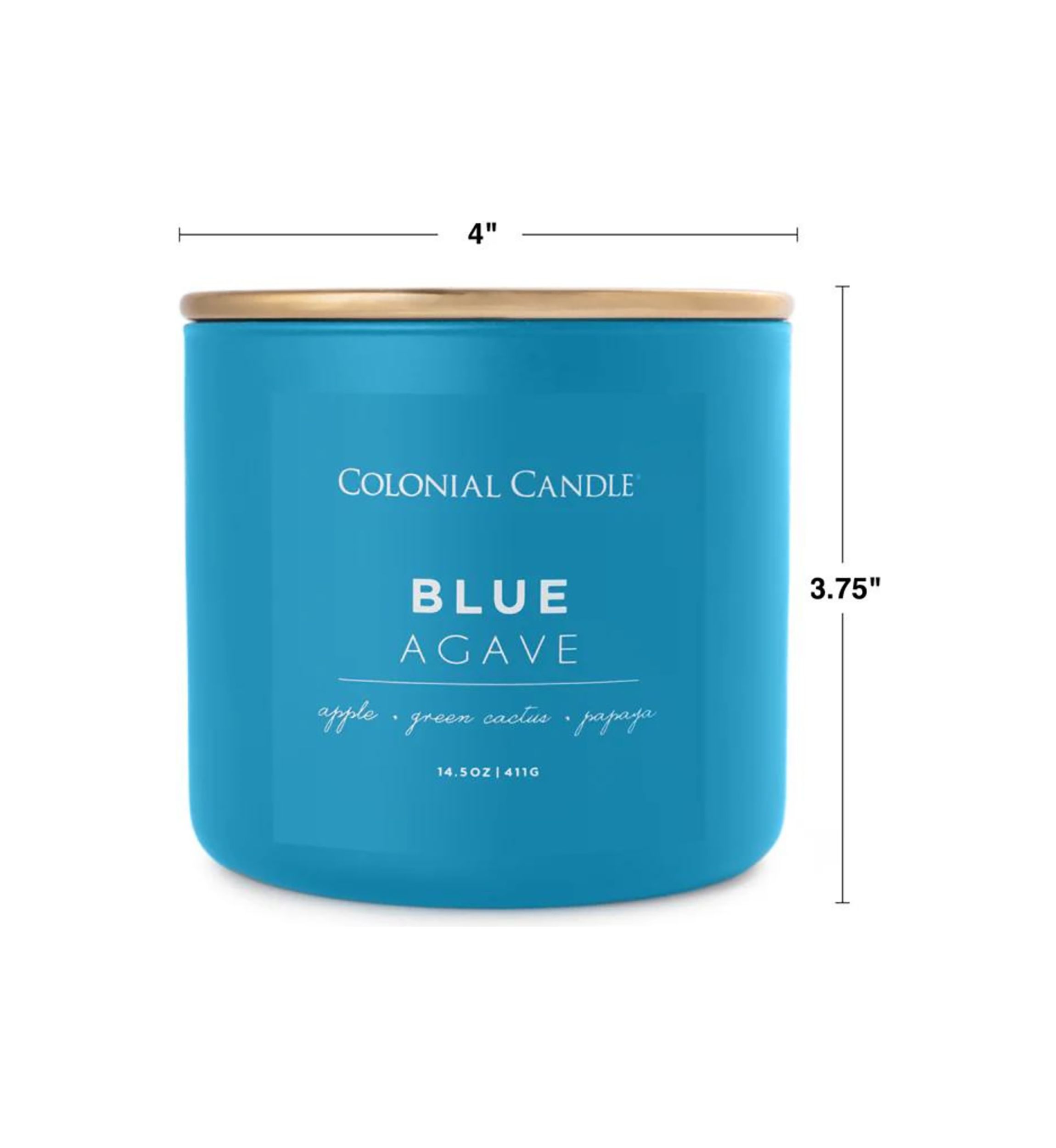 Pop of Color Blue Agave Scented Candle