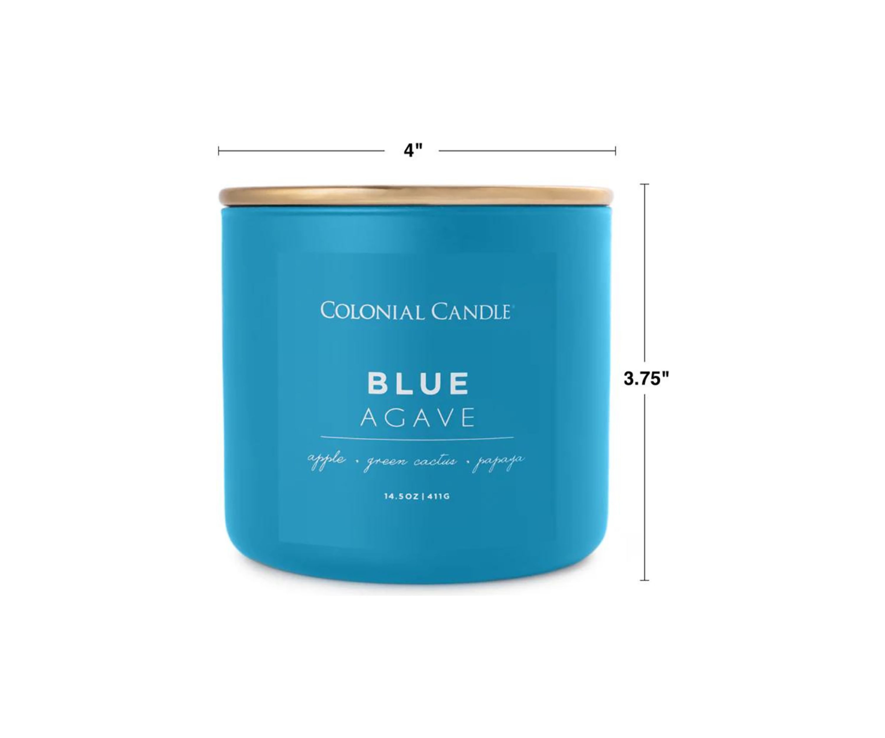 Pop of Color Blue Agave Scented Candle