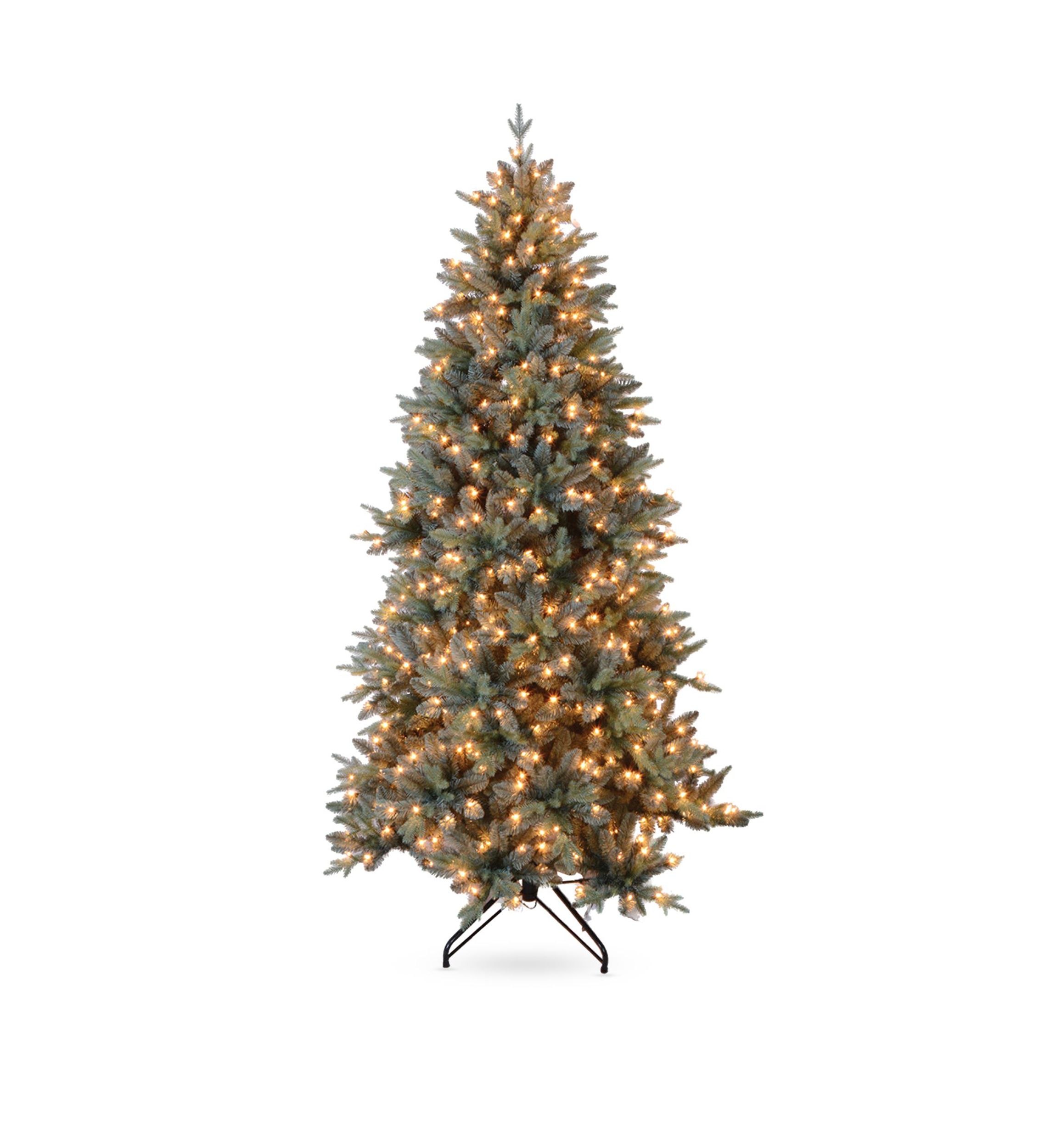 7.5 ft Blue Spruce Tree