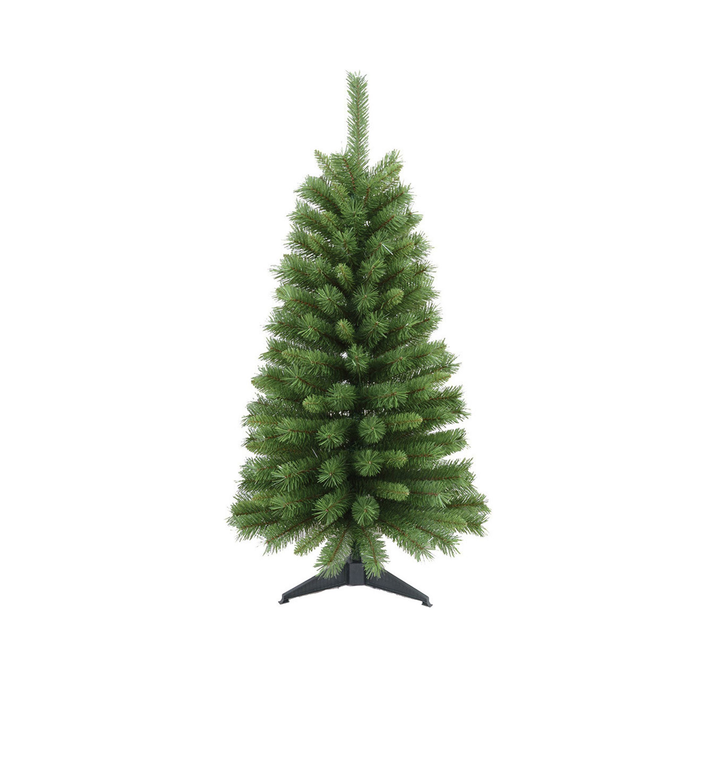 Canadian Pine Tree