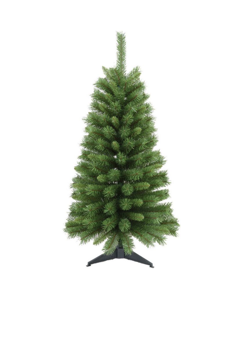 Canadian Pine Tree
