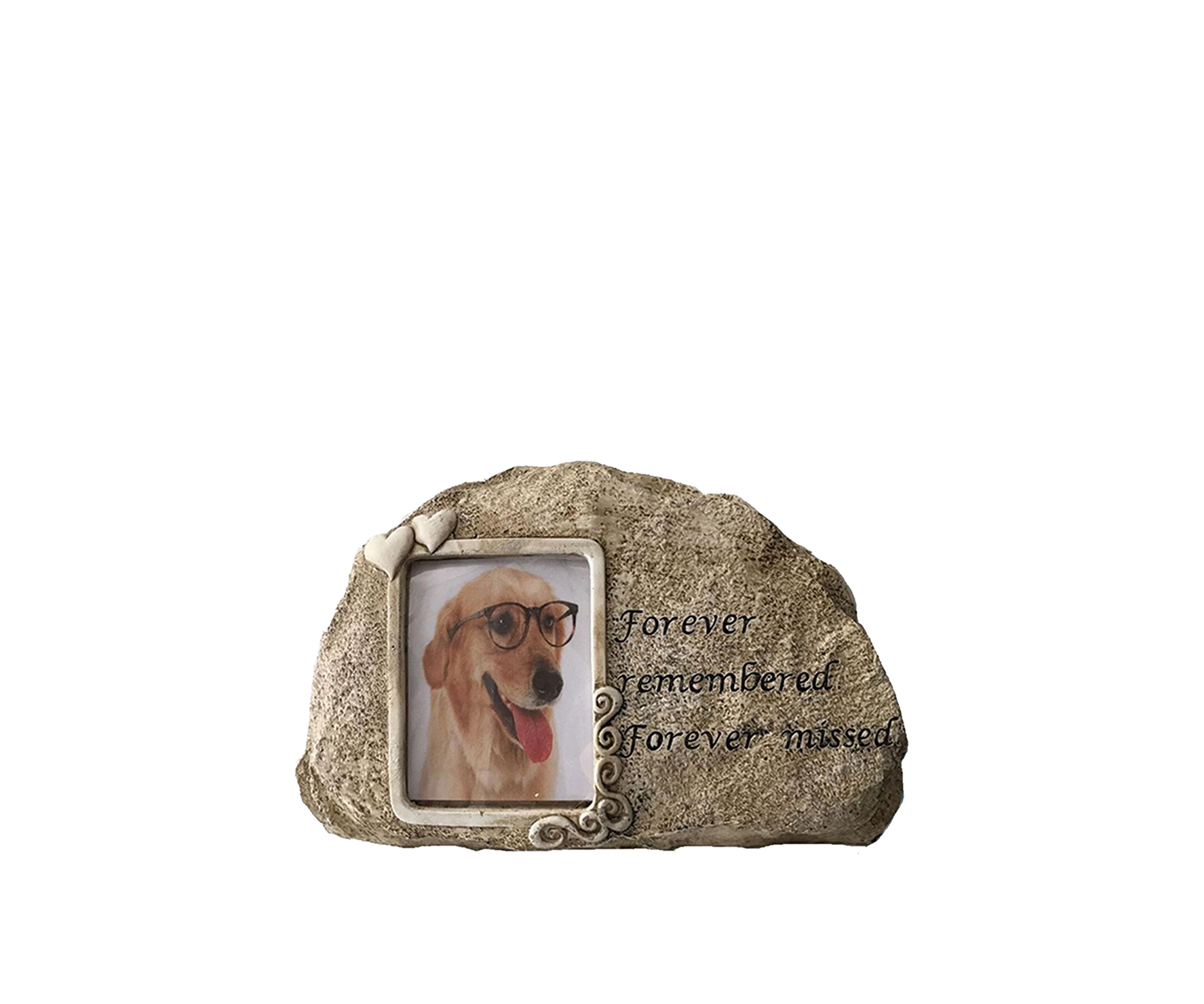 	  10 Inch Dog Forever Remembered