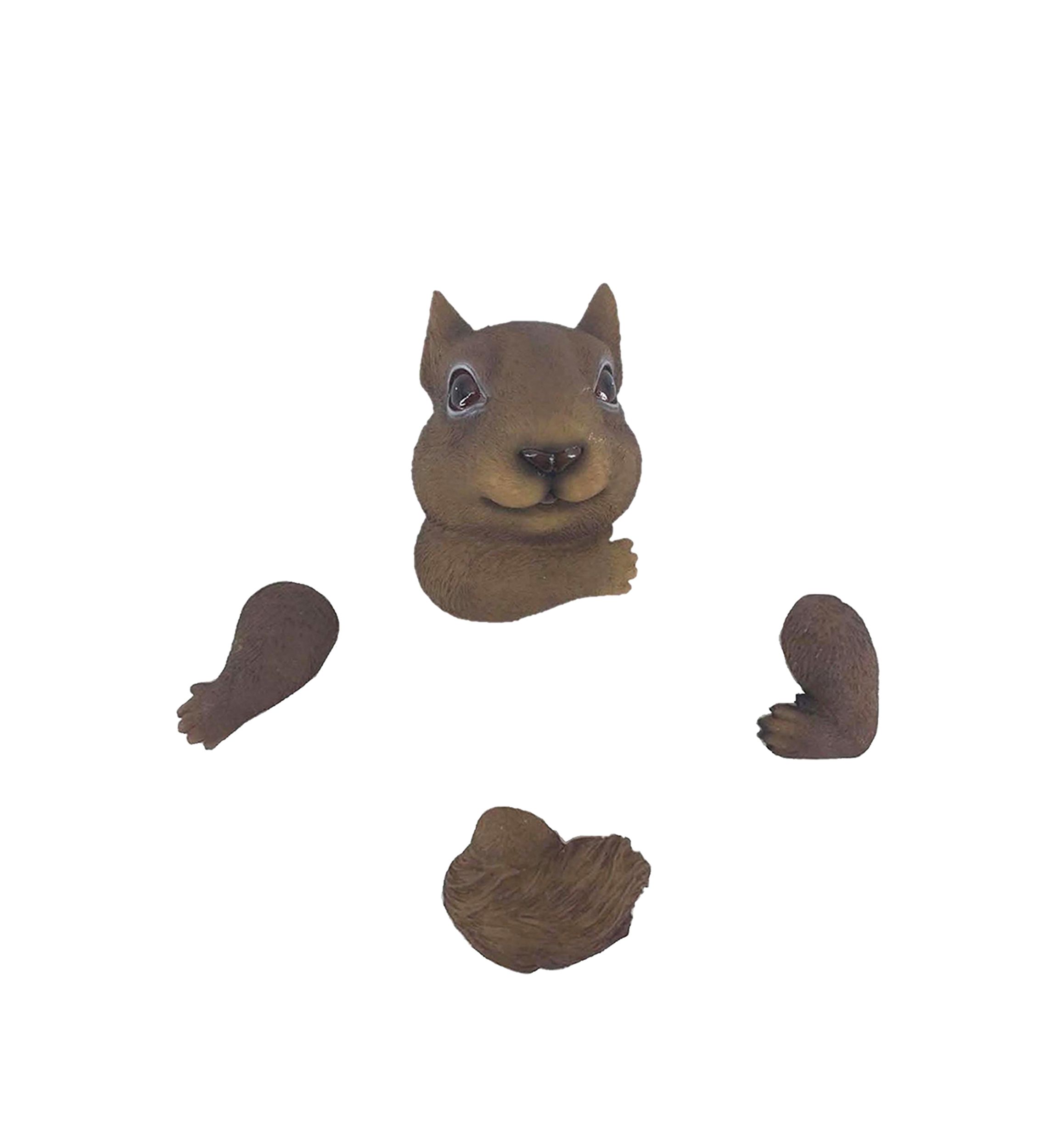  Squirrel in the Tree 