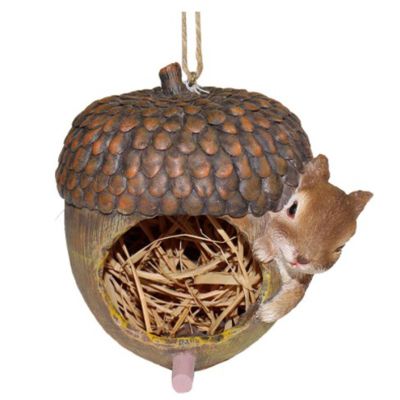 5" Resin Acorn and Squirrel Bird House