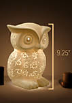 Porcelain Wise Owl Table Lamp