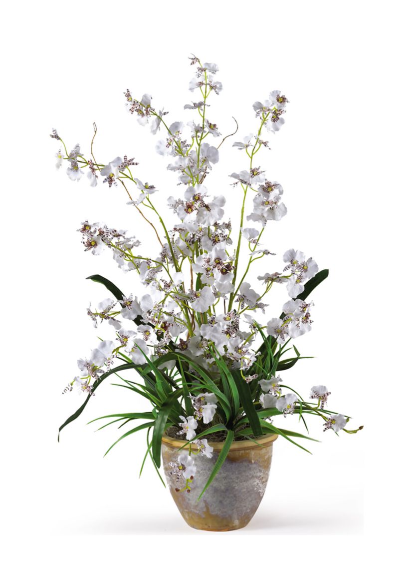 Dancing Lady Silk Orchid Arrangement