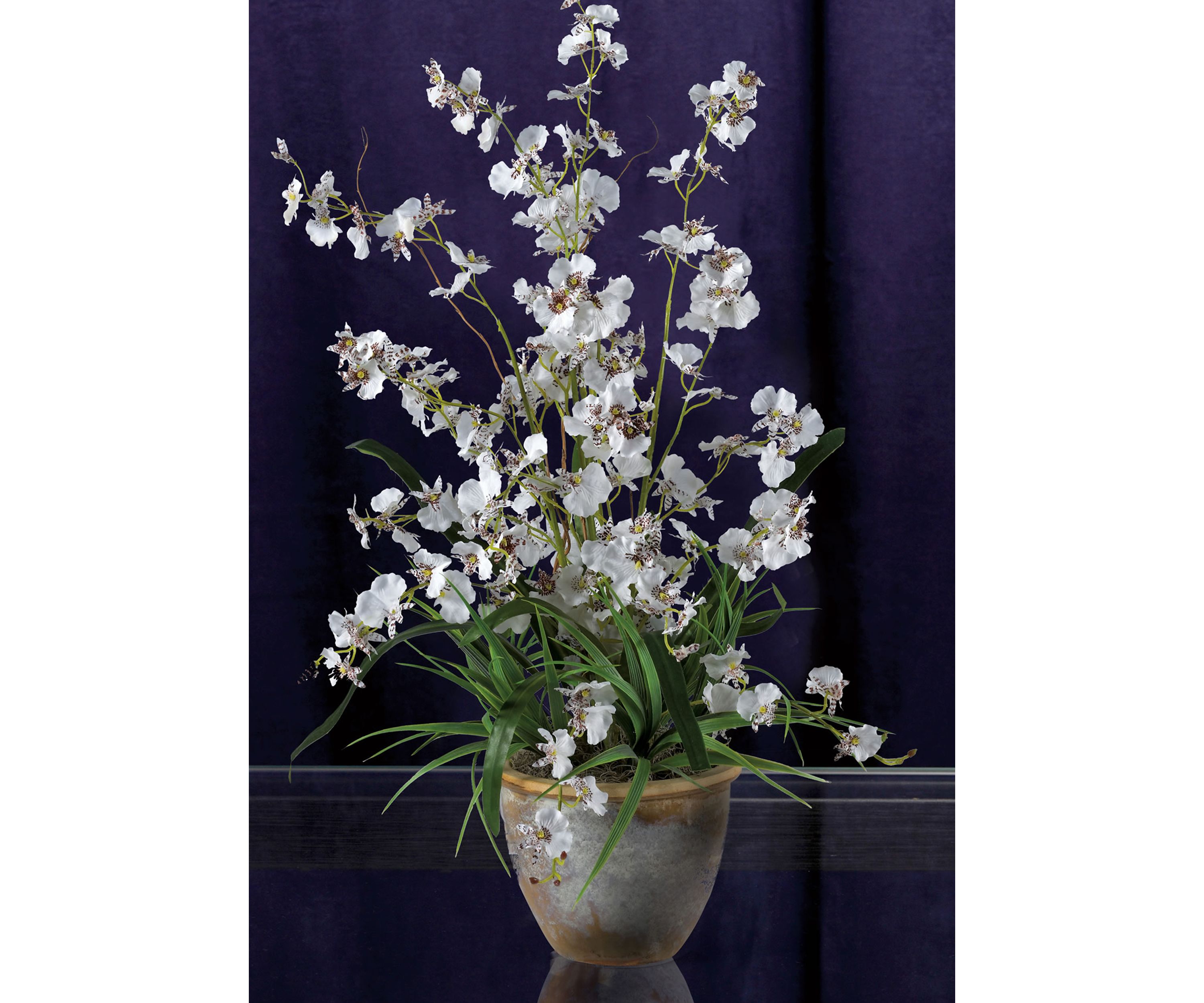 Dancing Lady Silk Orchid Arrangement