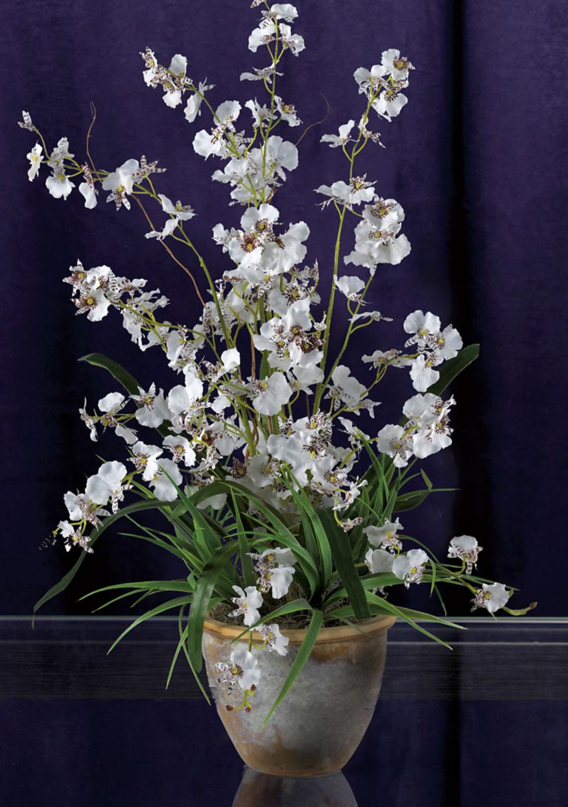 Dancing Lady Silk Orchid Arrangement