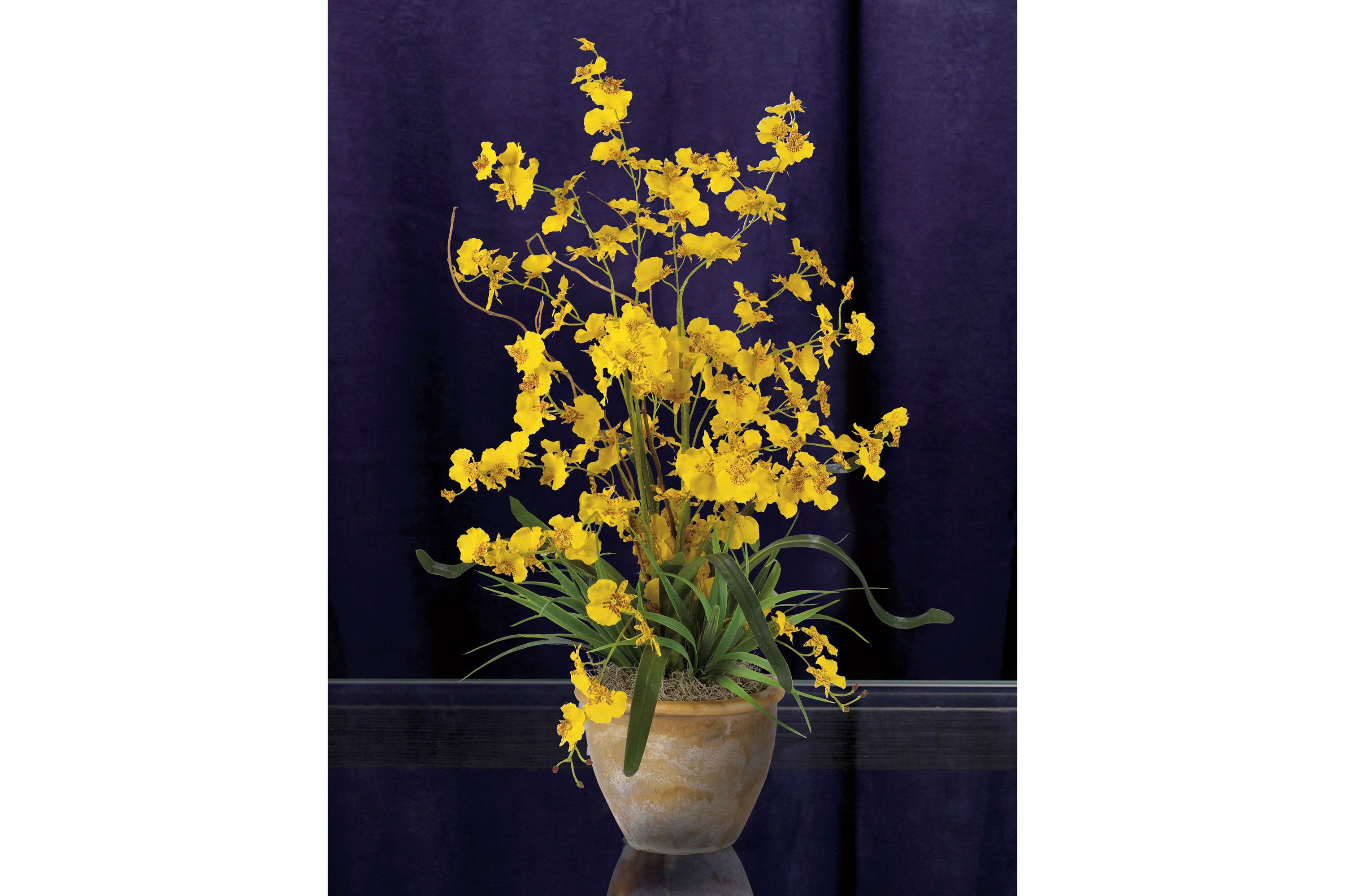 Dancing Lady Silk Orchid Arrangement