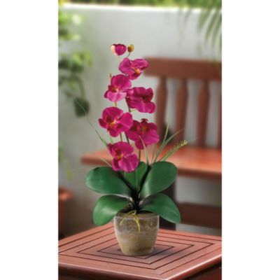 Phalaenopsis Silk Orchid Flower Arrangement