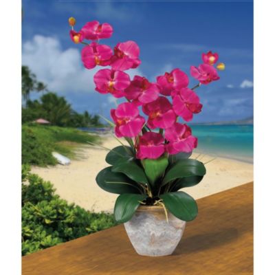 Double Phalaenopsis Silk Orchid Flower Arrangement