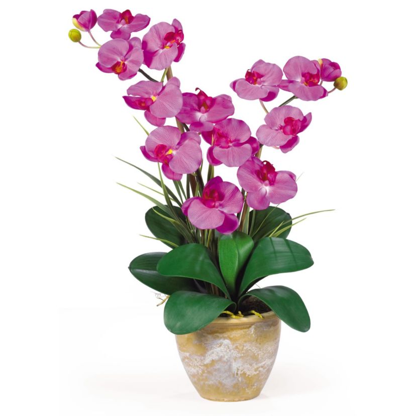 Double Phalaenopsis Silk Orchid Flower Arrangement
