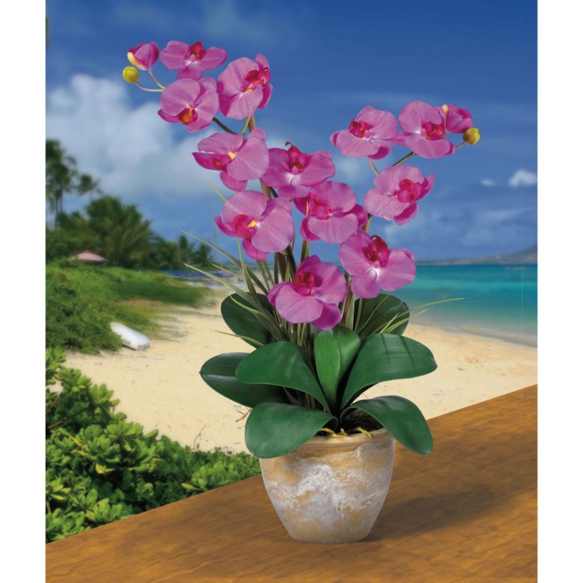 Double Phalaenopsis Silk Orchid Flower Arrangement