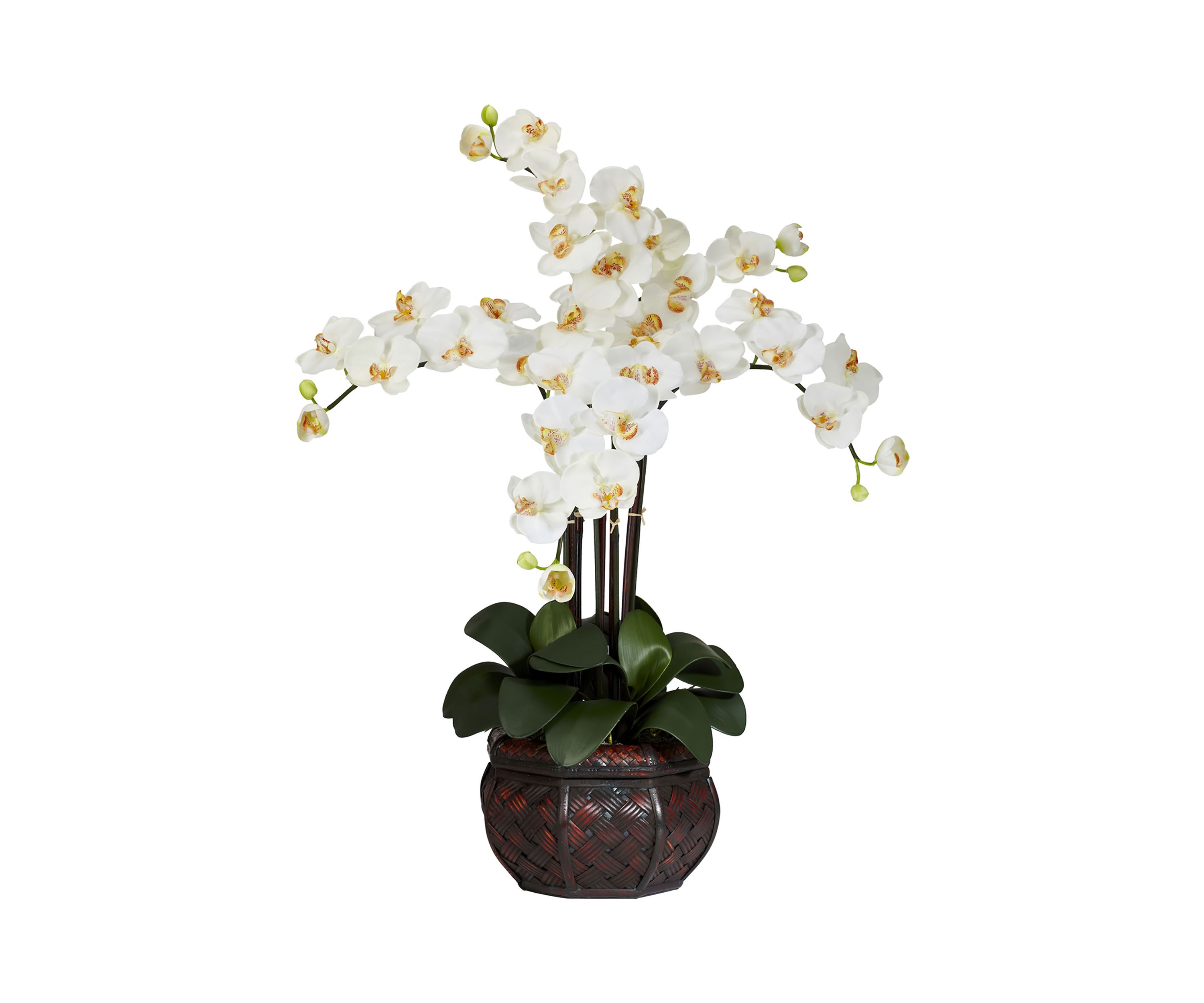 Phalaenopsis with Decorative Vase Silk Flower Arrangement