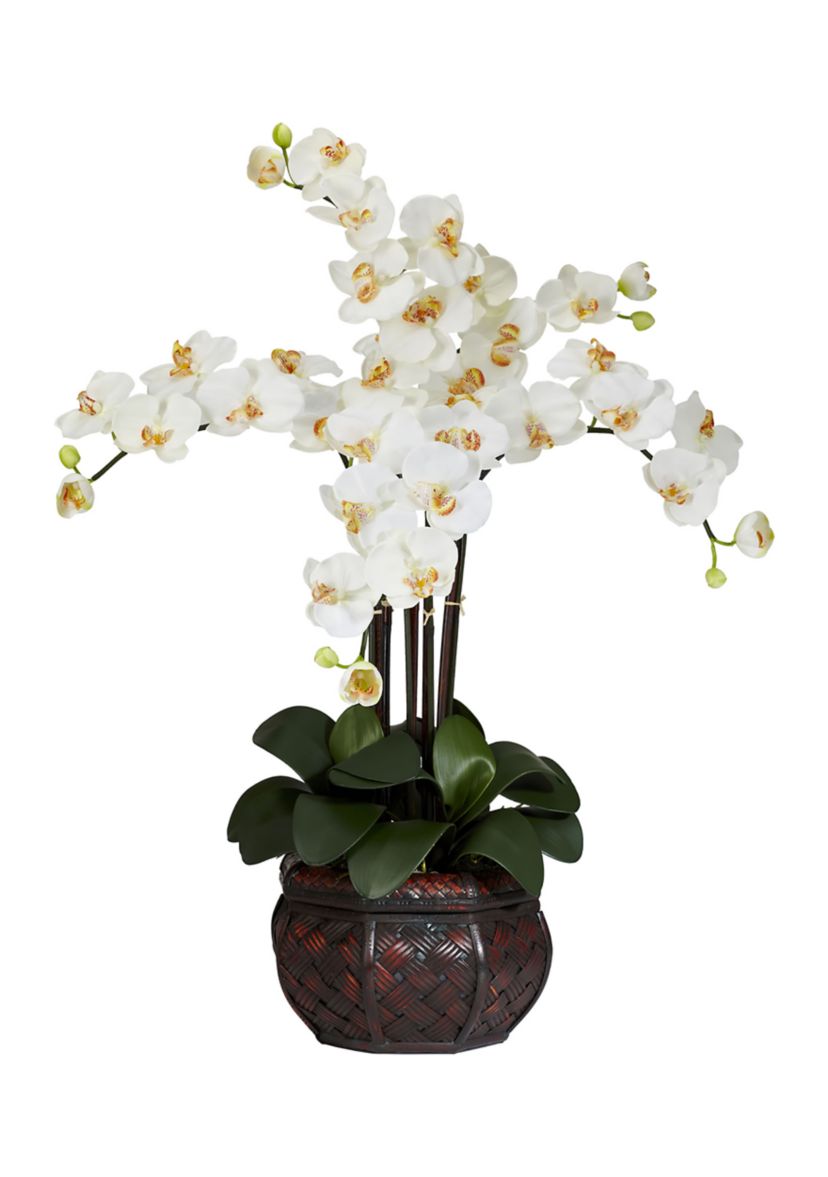 Phalaenopsis with Decorative Vase Silk Flower Arrangement