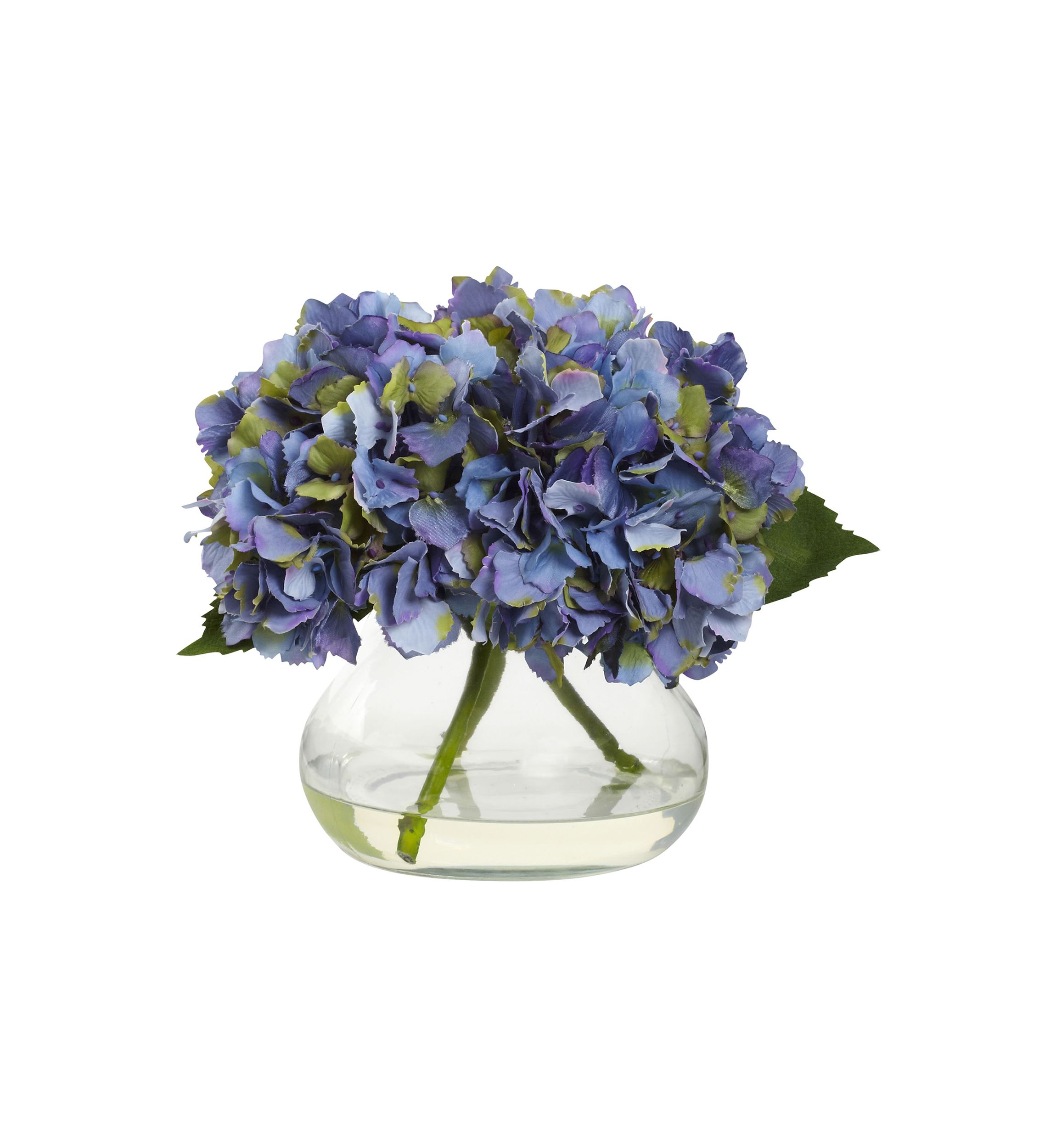 Blooming Hydrangea with Vase