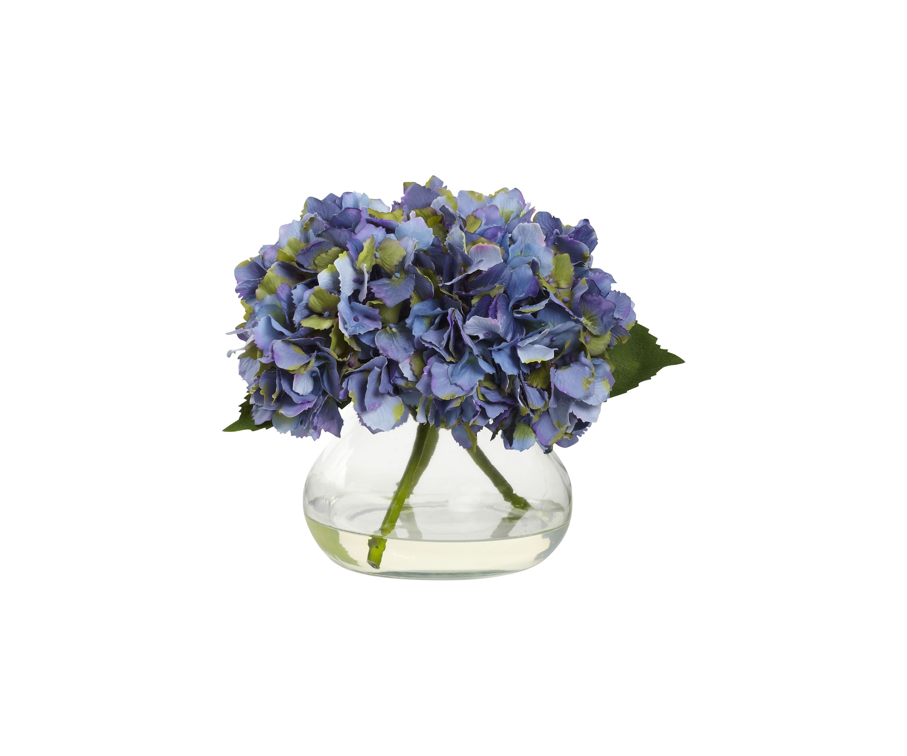 Blooming Hydrangea with Vase