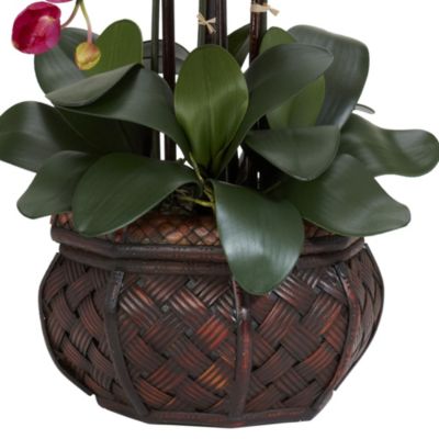 Phalaenopsis with Decorative Vase Silk Flower Arrangement