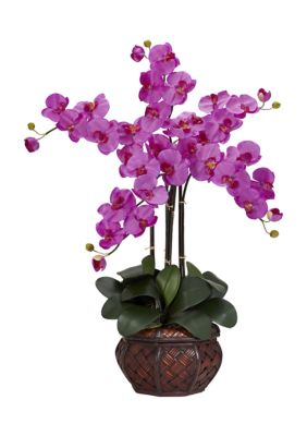 Phalaenopsis with Decorative Vase Silk Flower Arrangement 