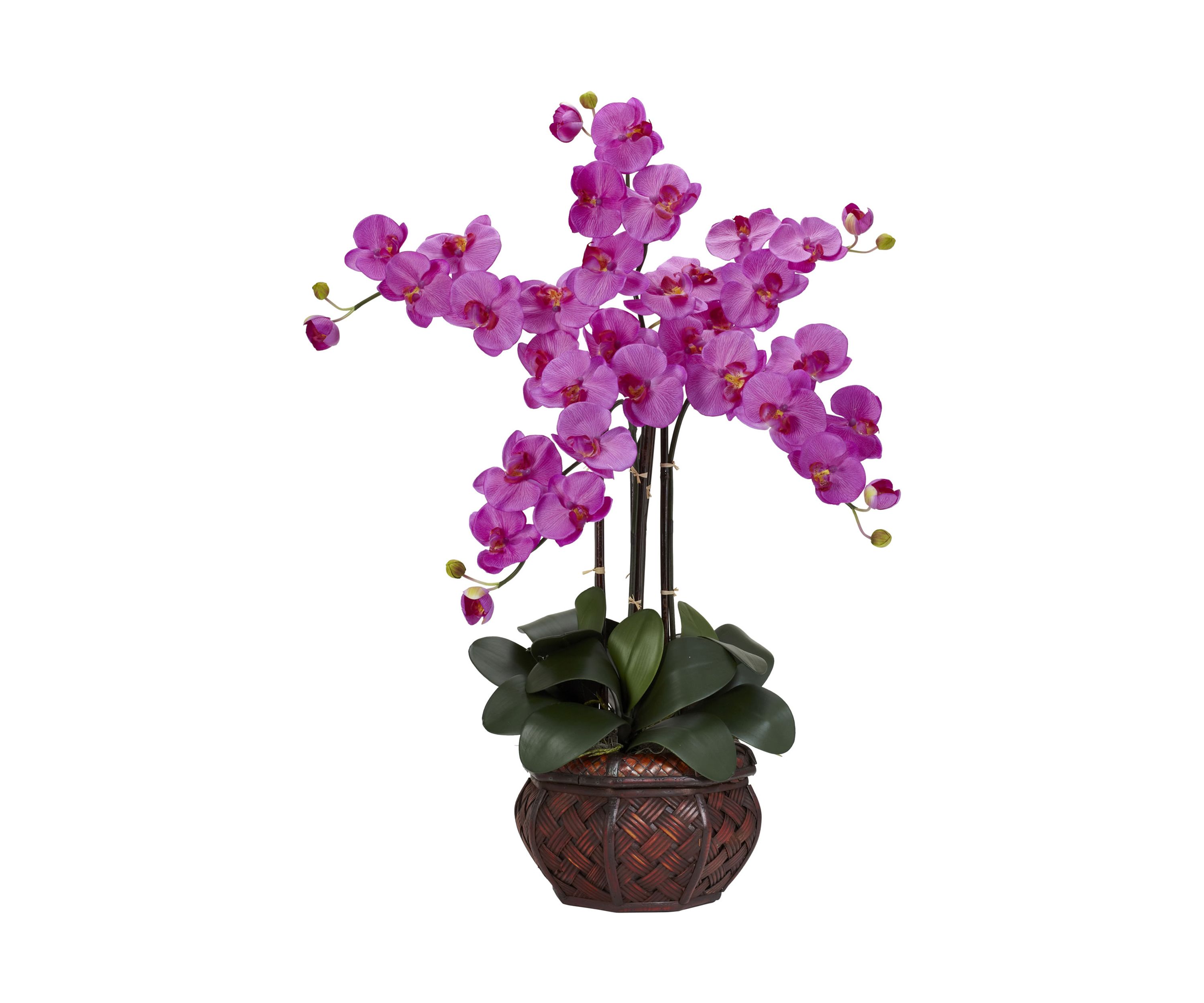 Phalaenopsis with Decorative Vase Silk Flower Arrangement 