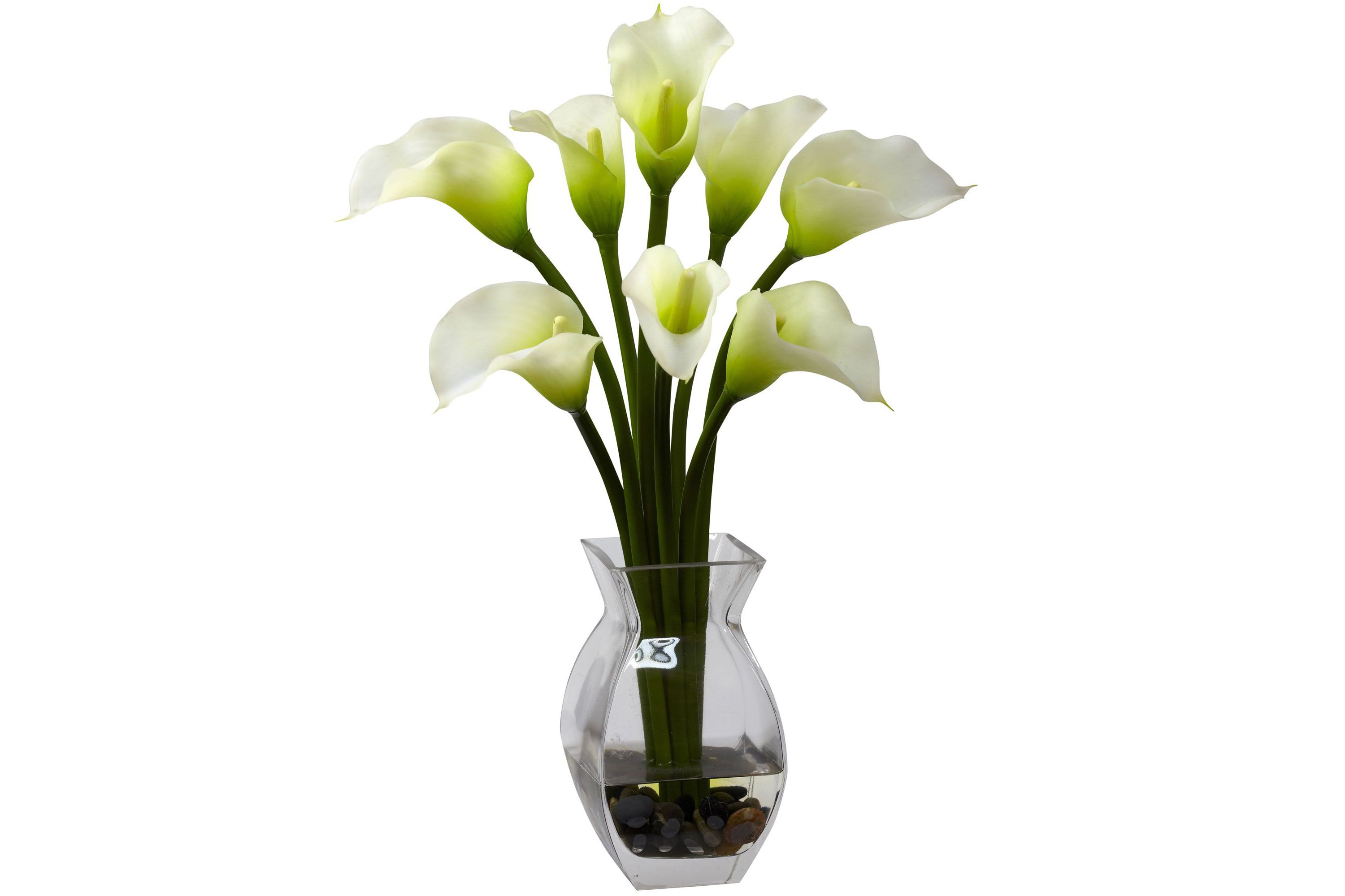 Classic Calla Lily Arrangement